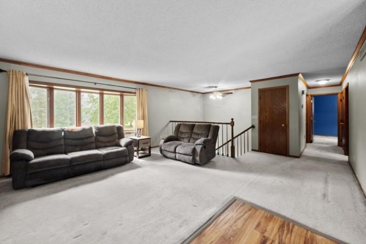 7377 Zurawski Court Property Photo 6