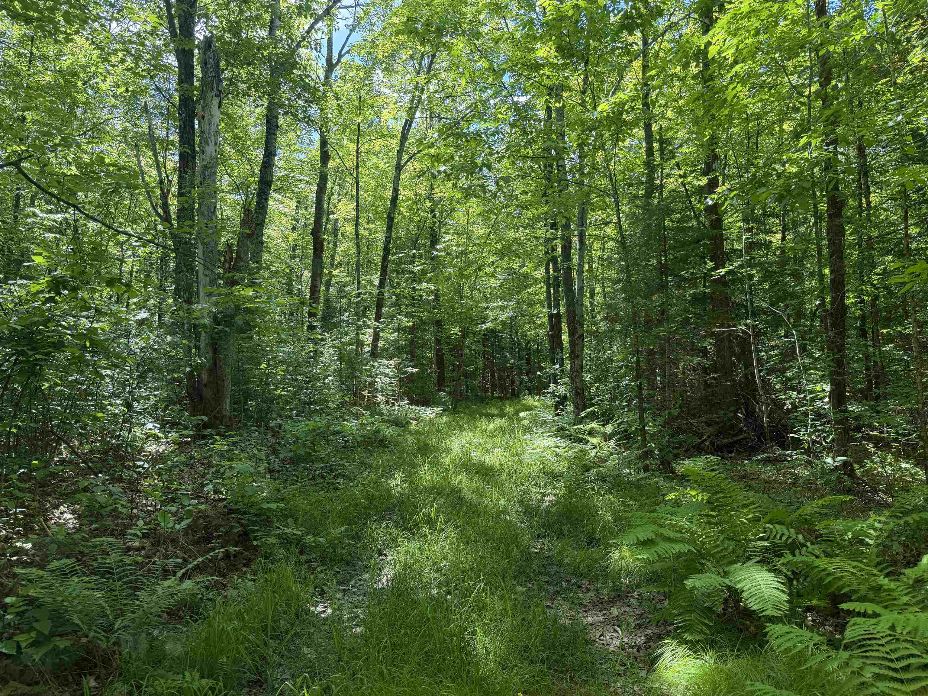 Wonder Road Property Photo 1