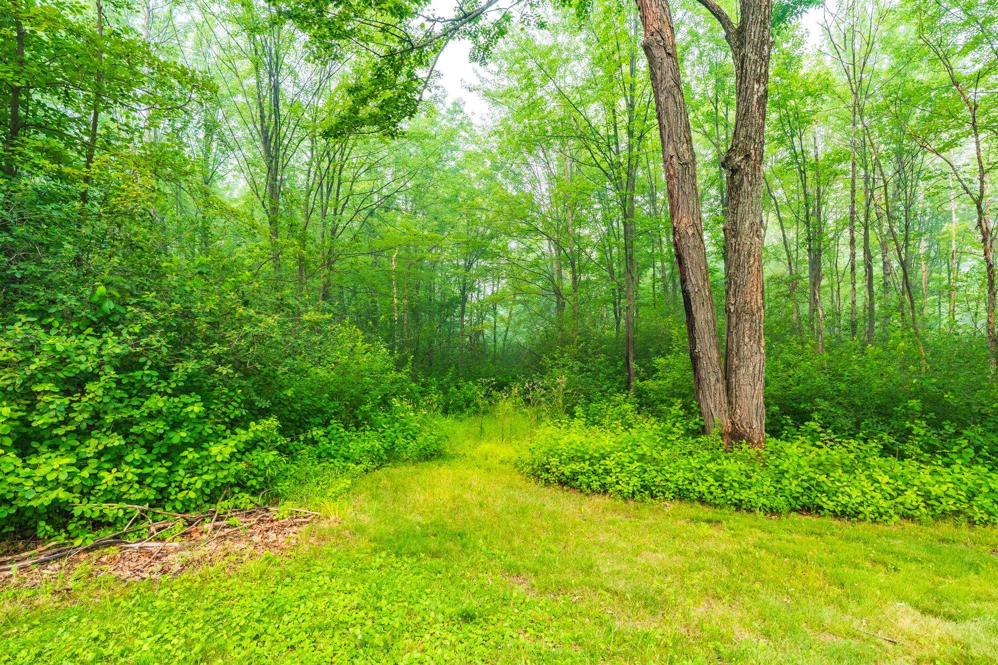 226552 Hummingbird Road Property Photo 54