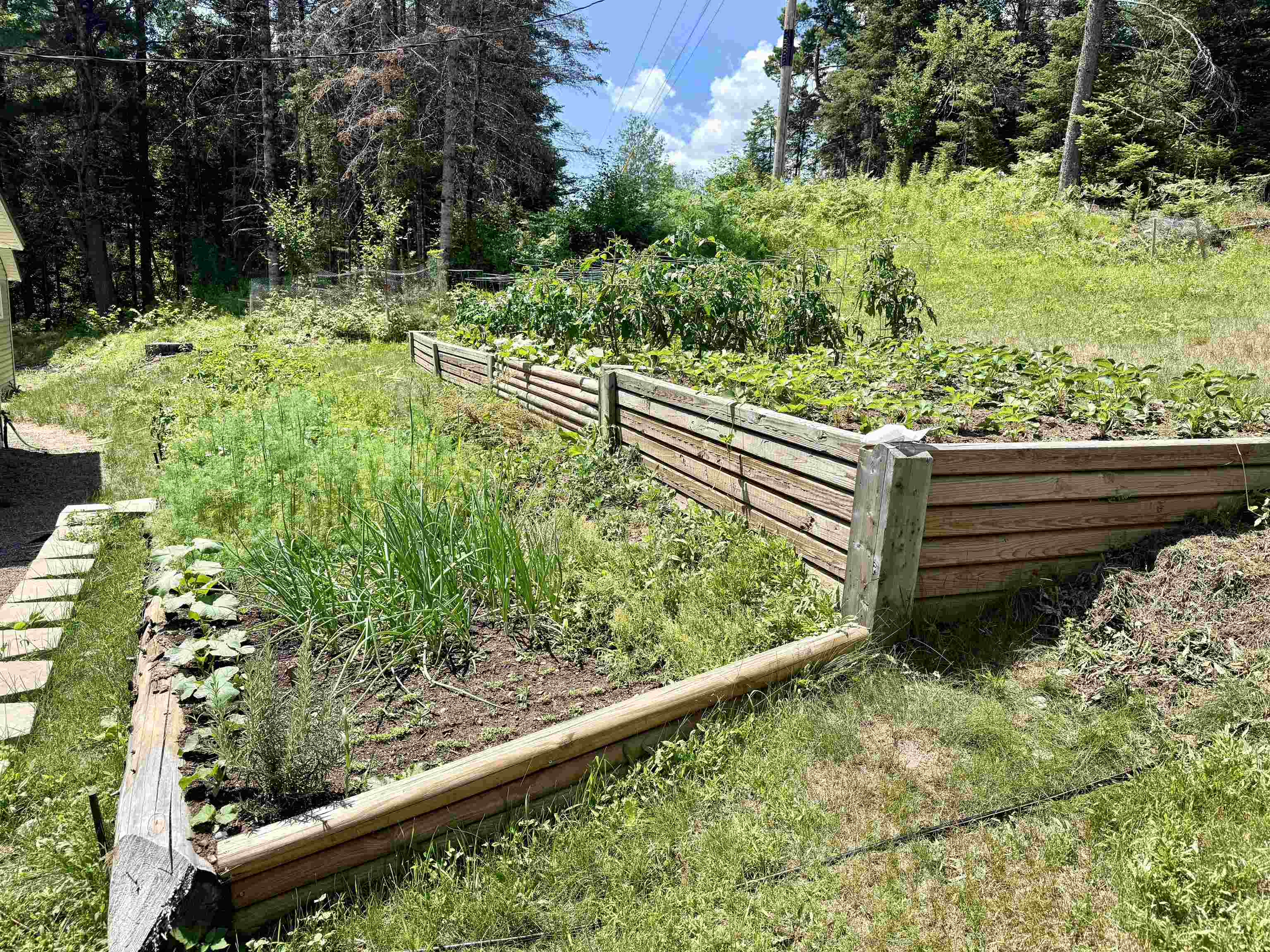 W3438 State Highway 182 Property Photo 48