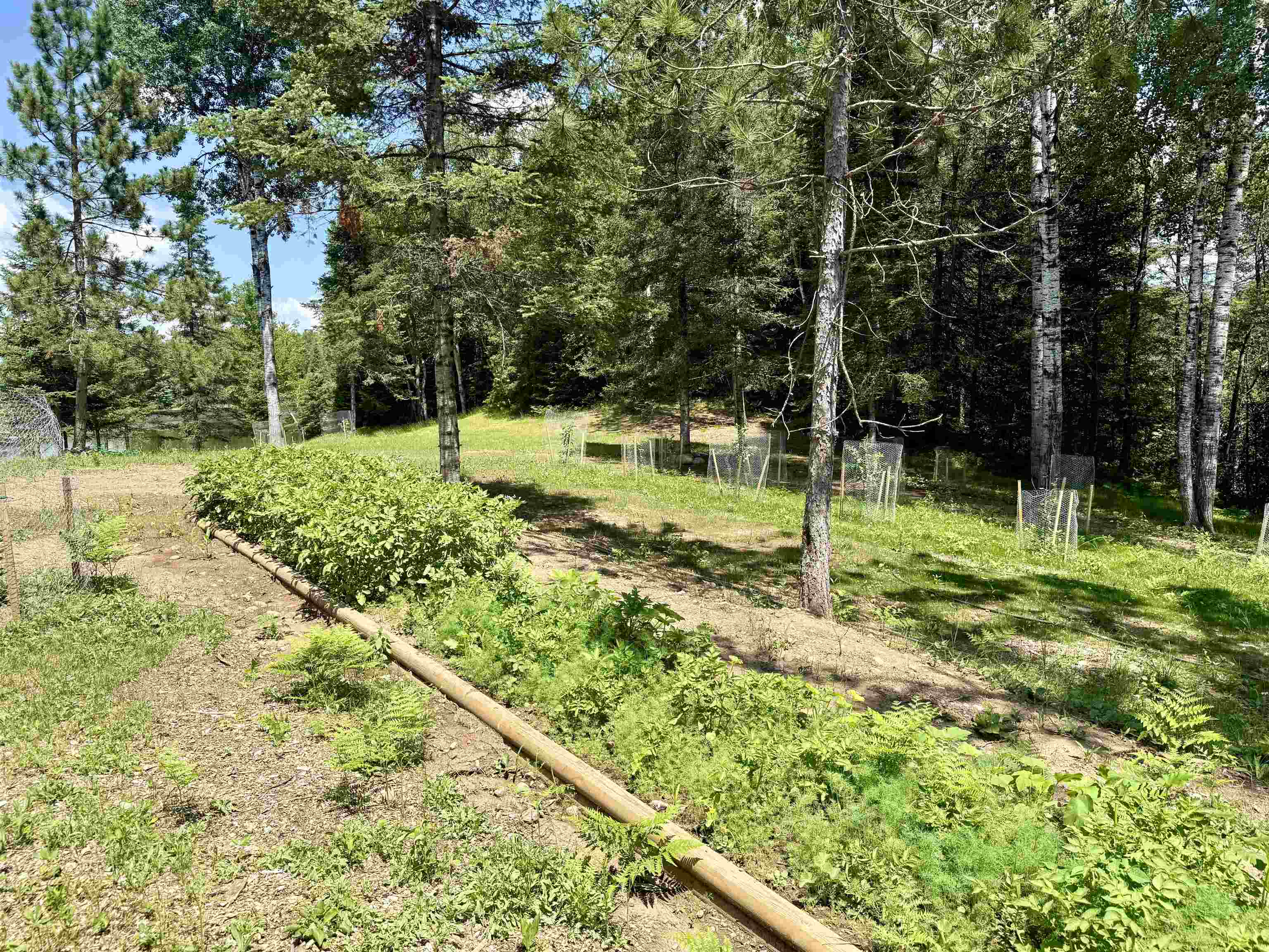W3438 State Highway 182 Property Photo 50
