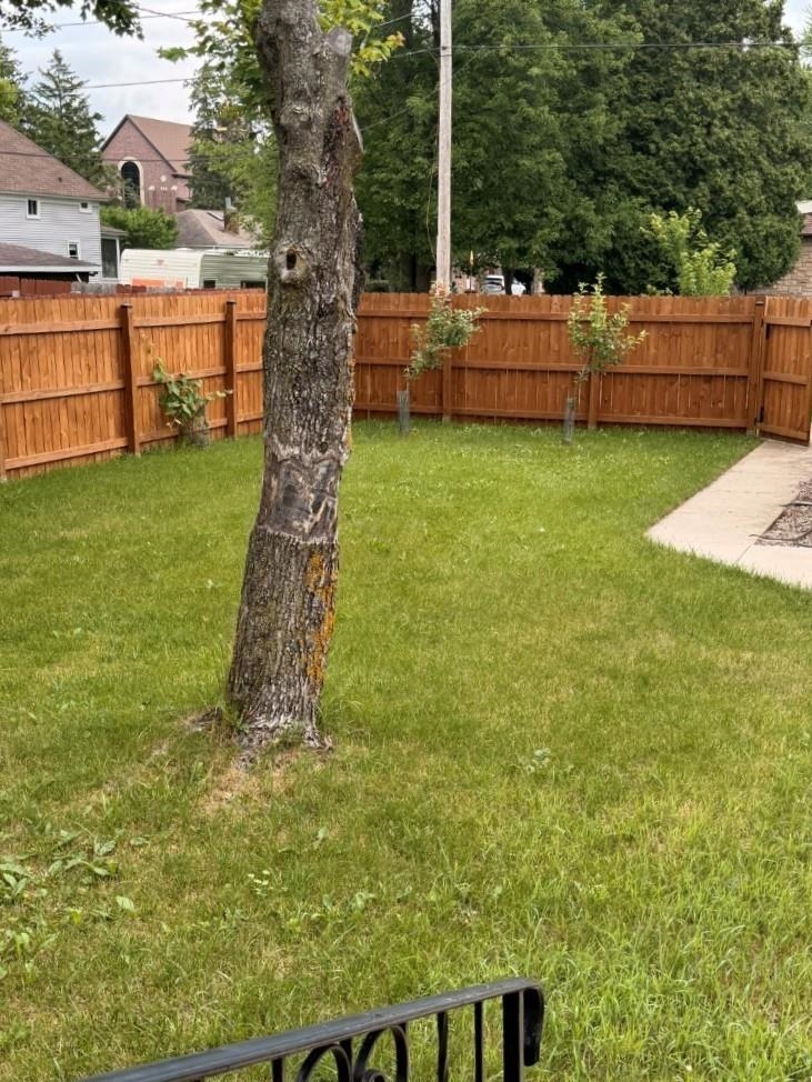 708 7th Street Property Photo 15