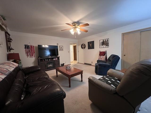 541 Glenwood Heights Property Photo 10