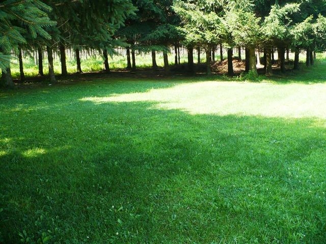 W9011 Blue Jay Road Property Photo 24