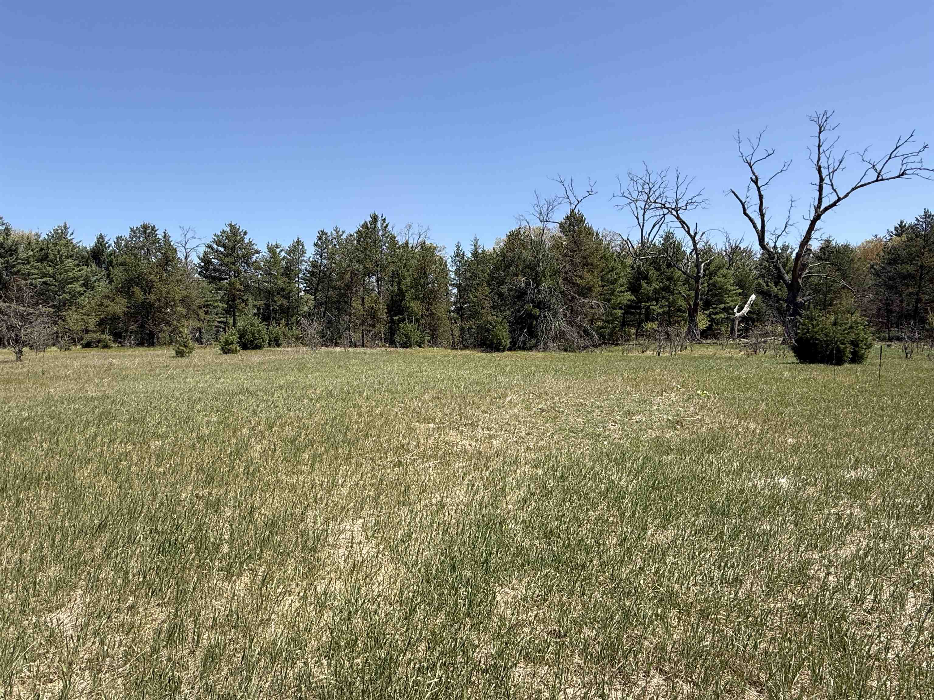 1751 Buttercup Avenue Property Photo 45