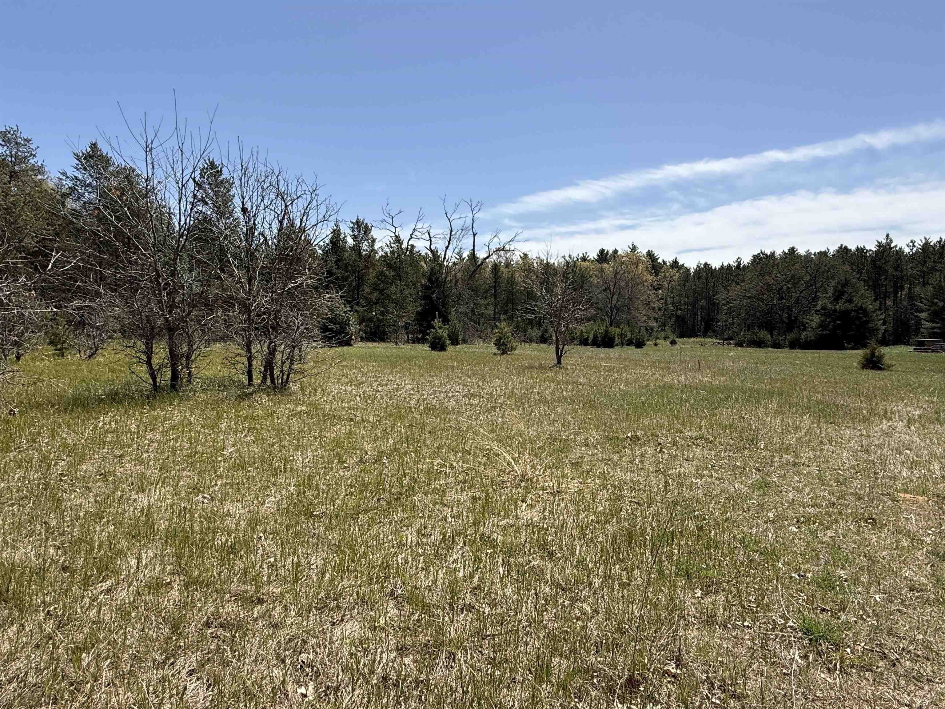1751 Buttercup Avenue Property Photo 48
