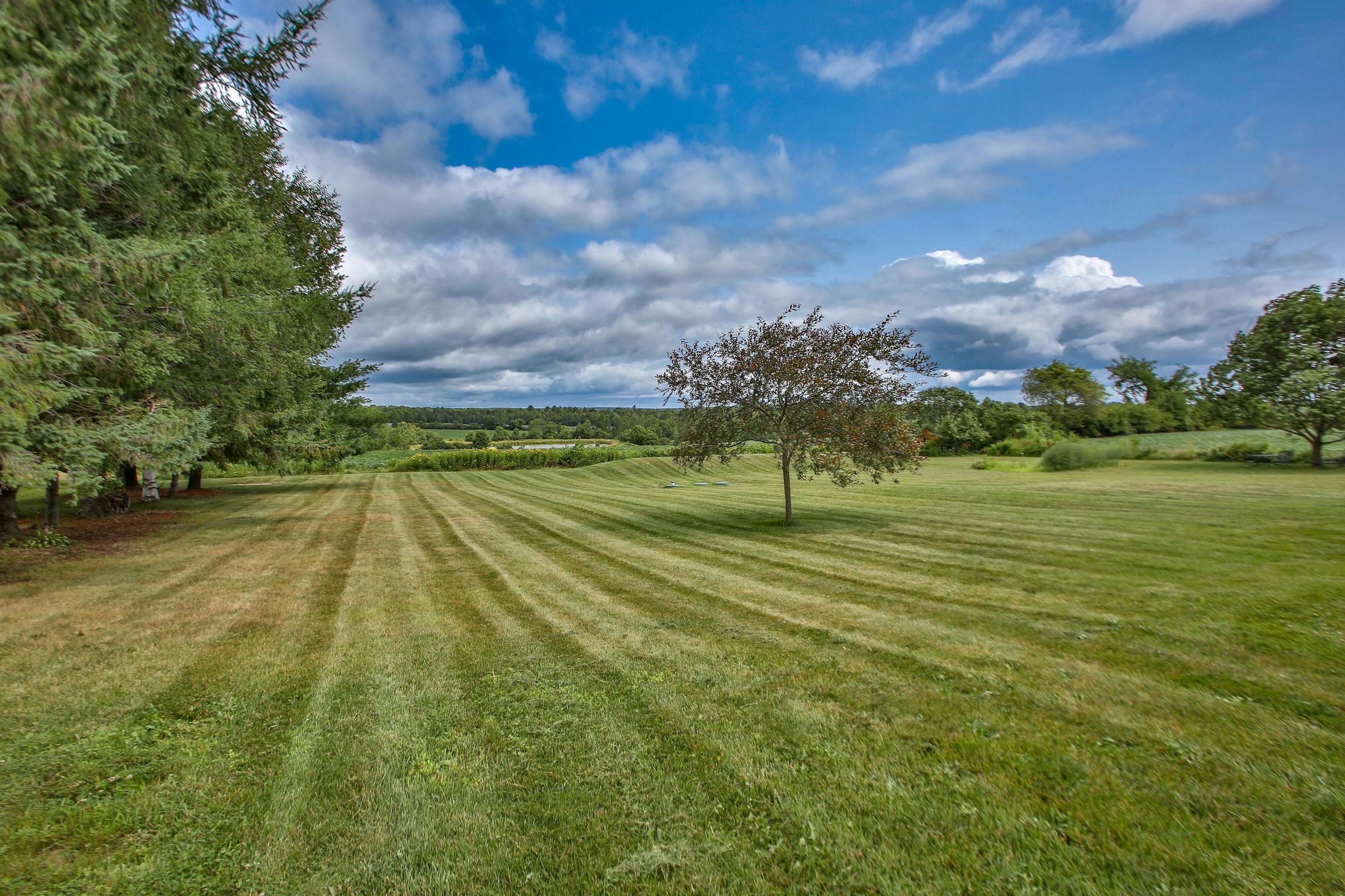 233765 Fire Station Road Property Photo 53