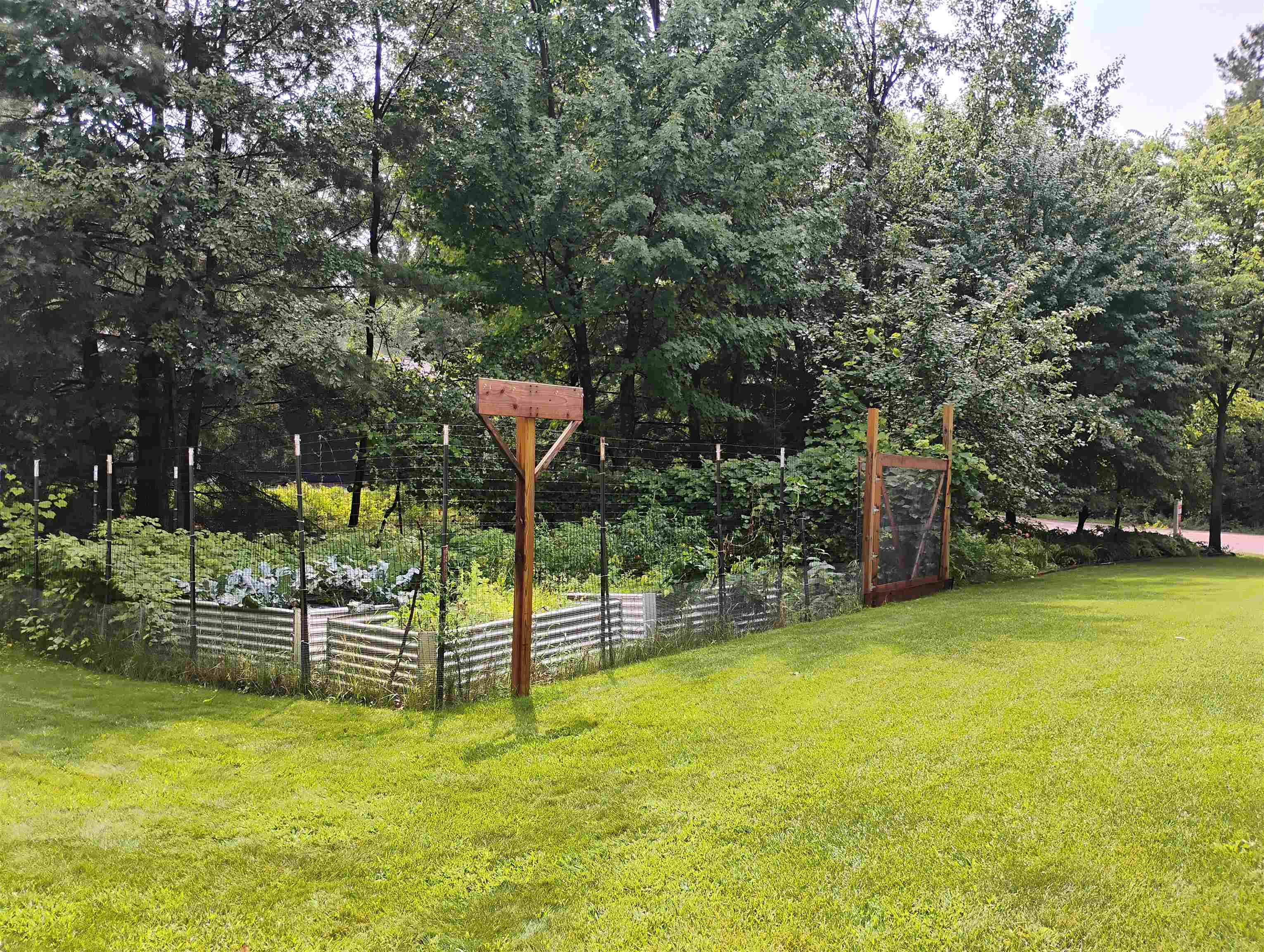 3317 Della Street Property Photo 49