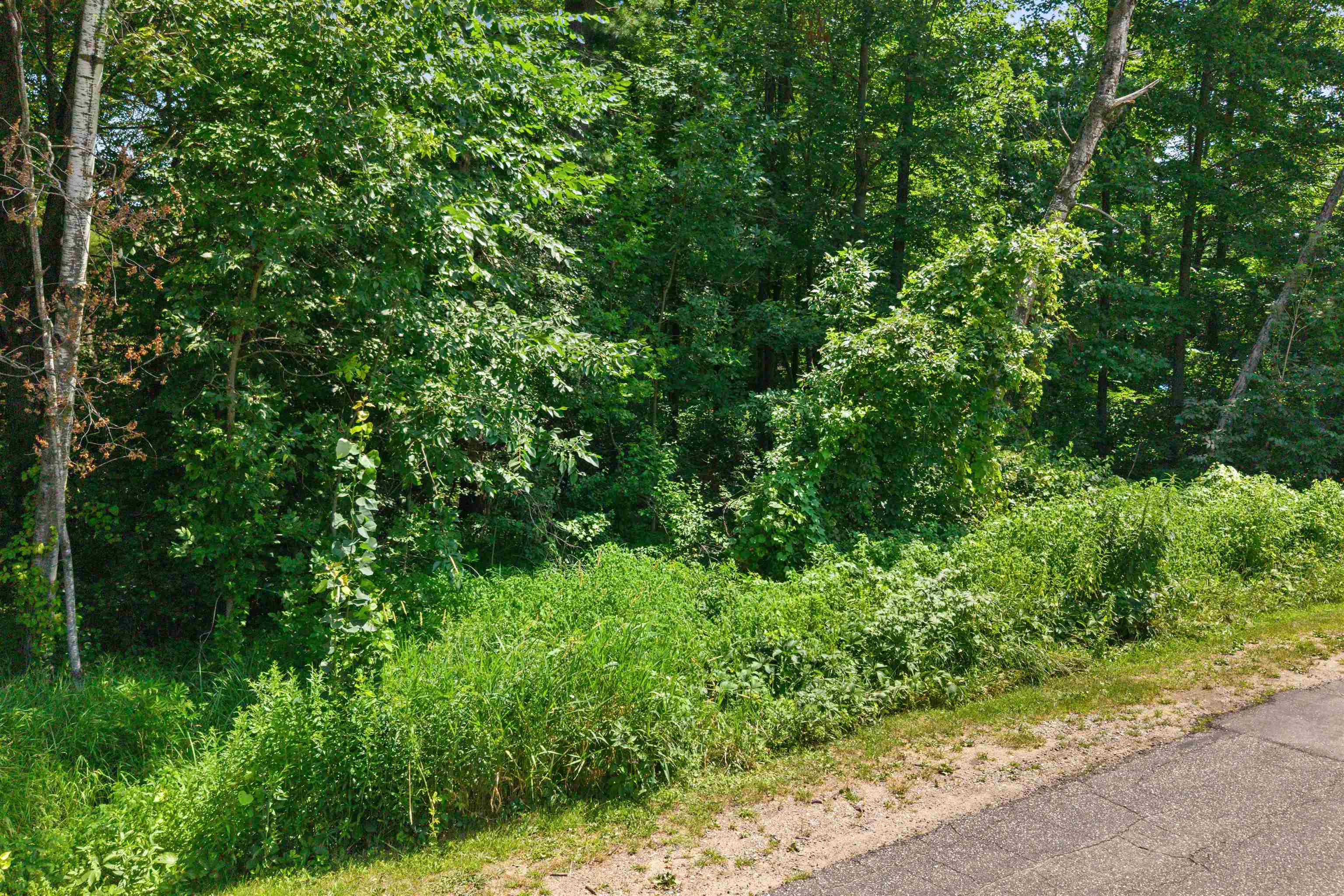 Lot 3 Coon Avenue Property Photo 3
