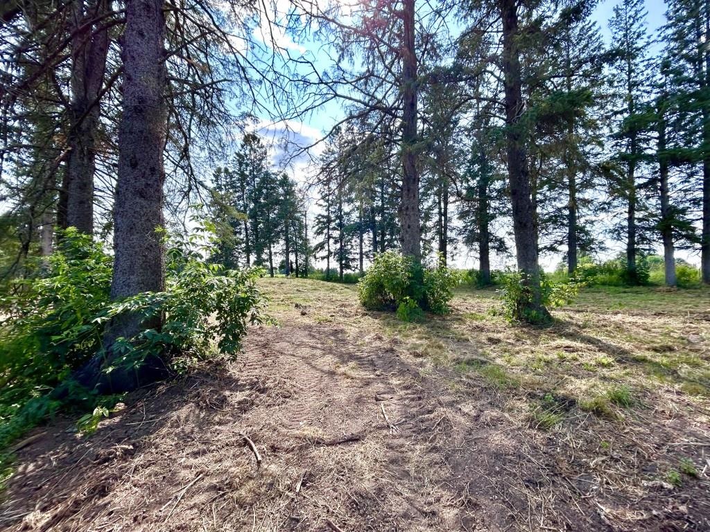 234788 Eau Claire River Road Property Photo 41
