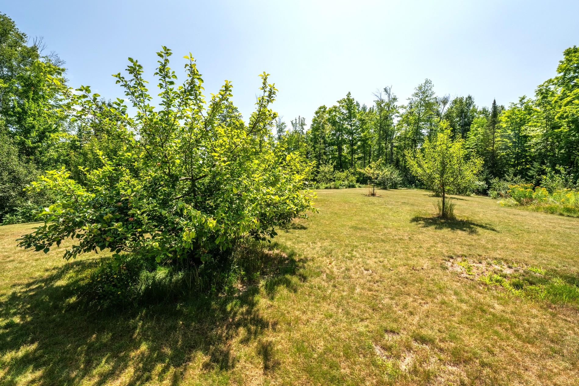 N7653 Typner Lake Road Property Photo 53
