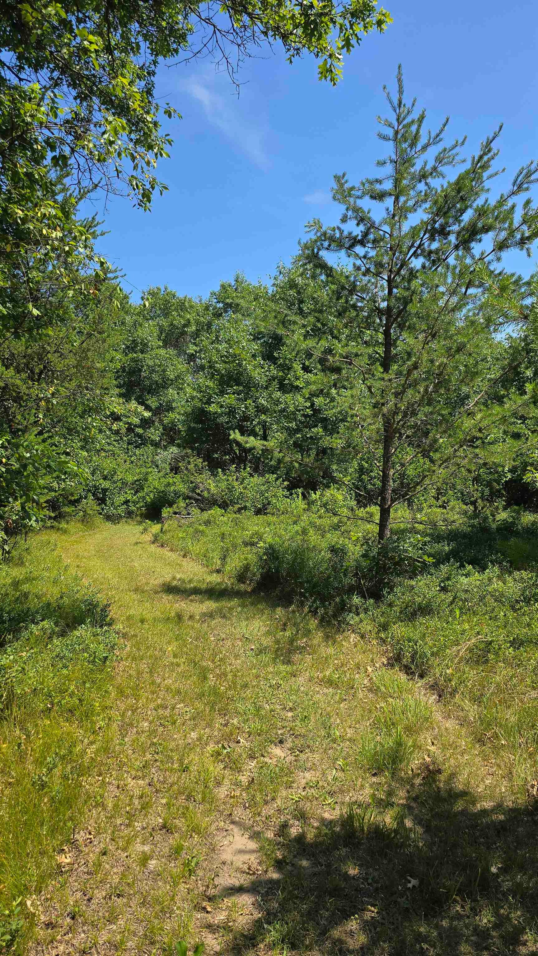N15046 17th Avenue North Property Photo 16