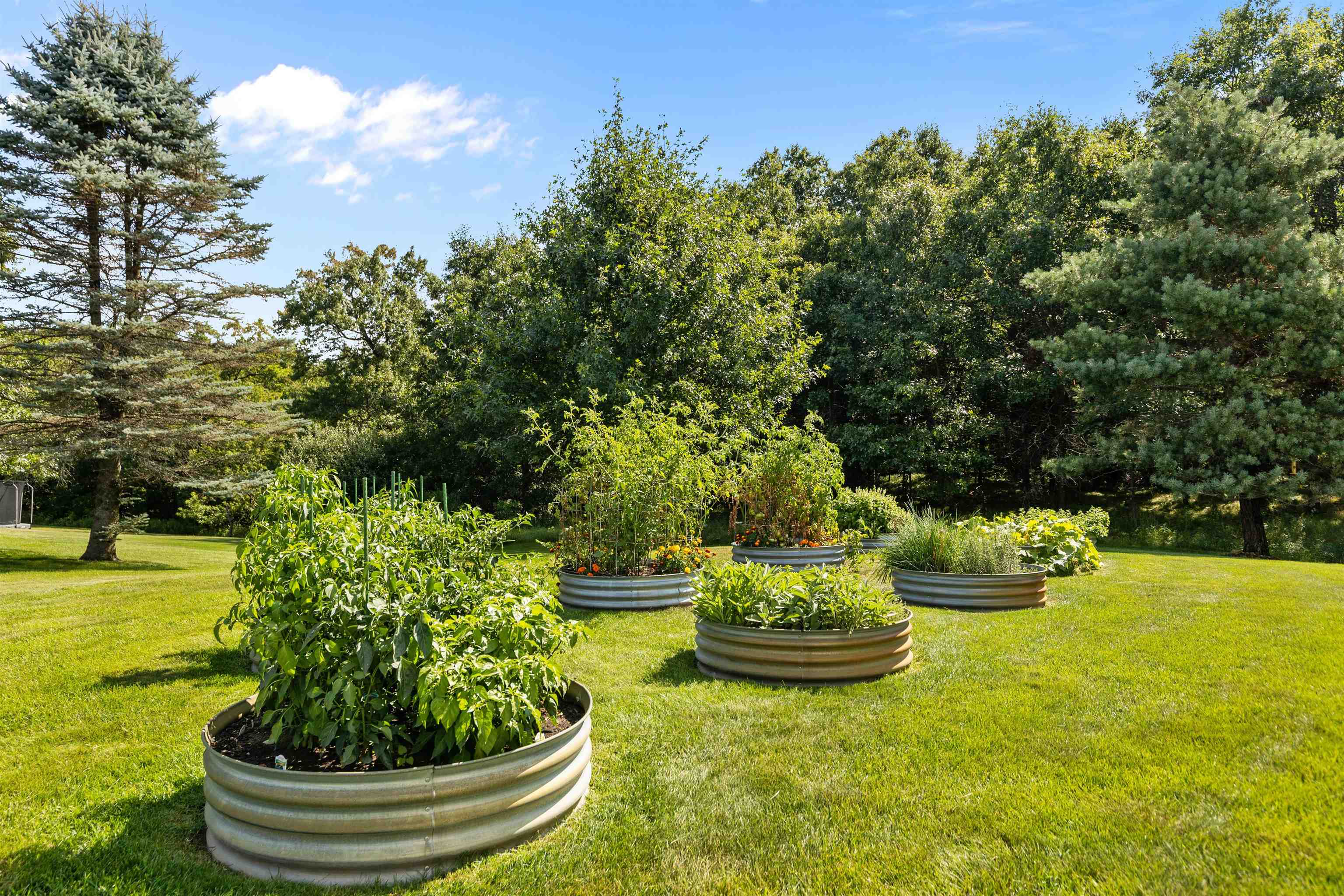 10257 Yellow Brick Road Property Photo 56