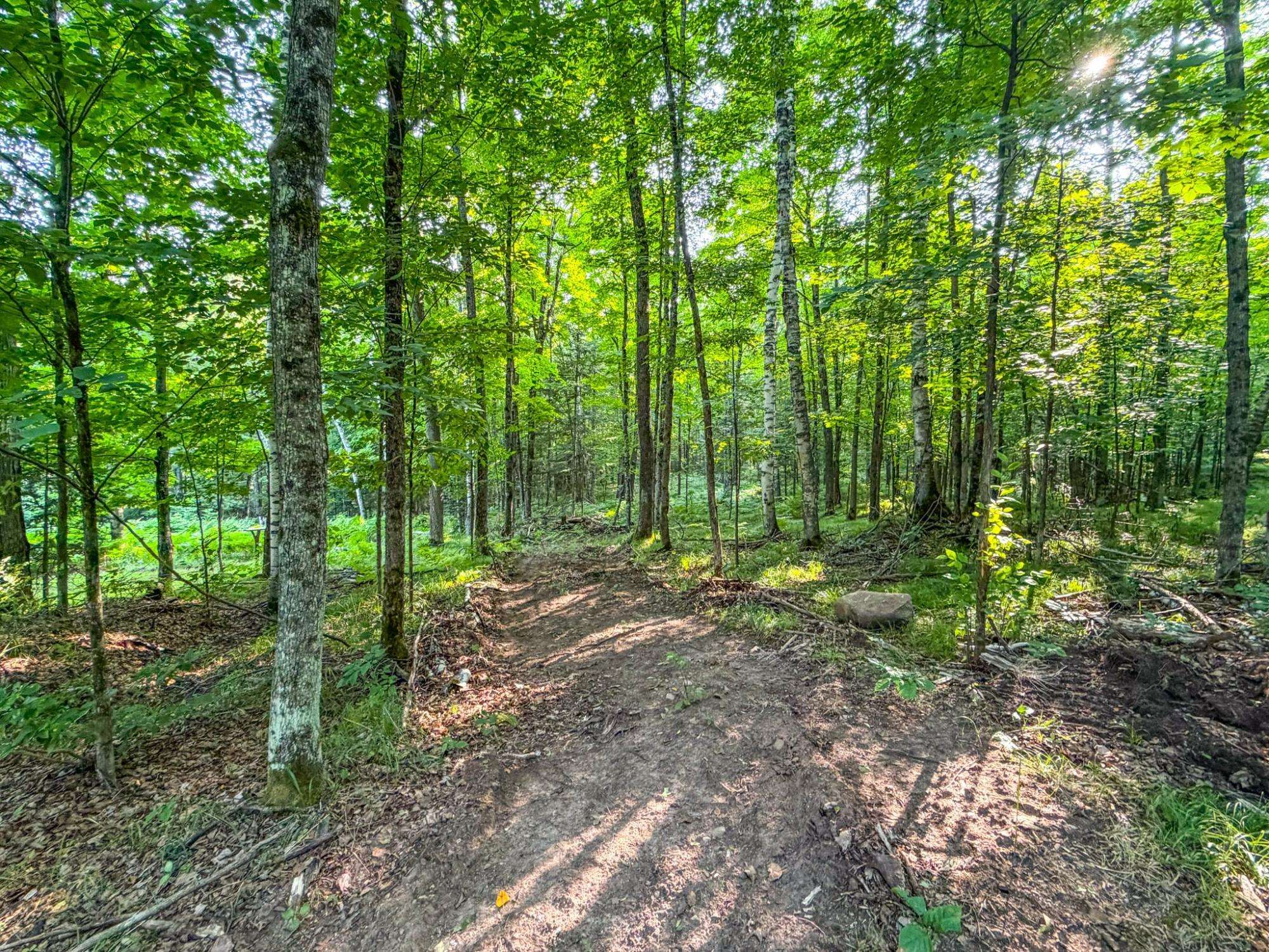 N13266 Hicks Landing Road Property Photo 41