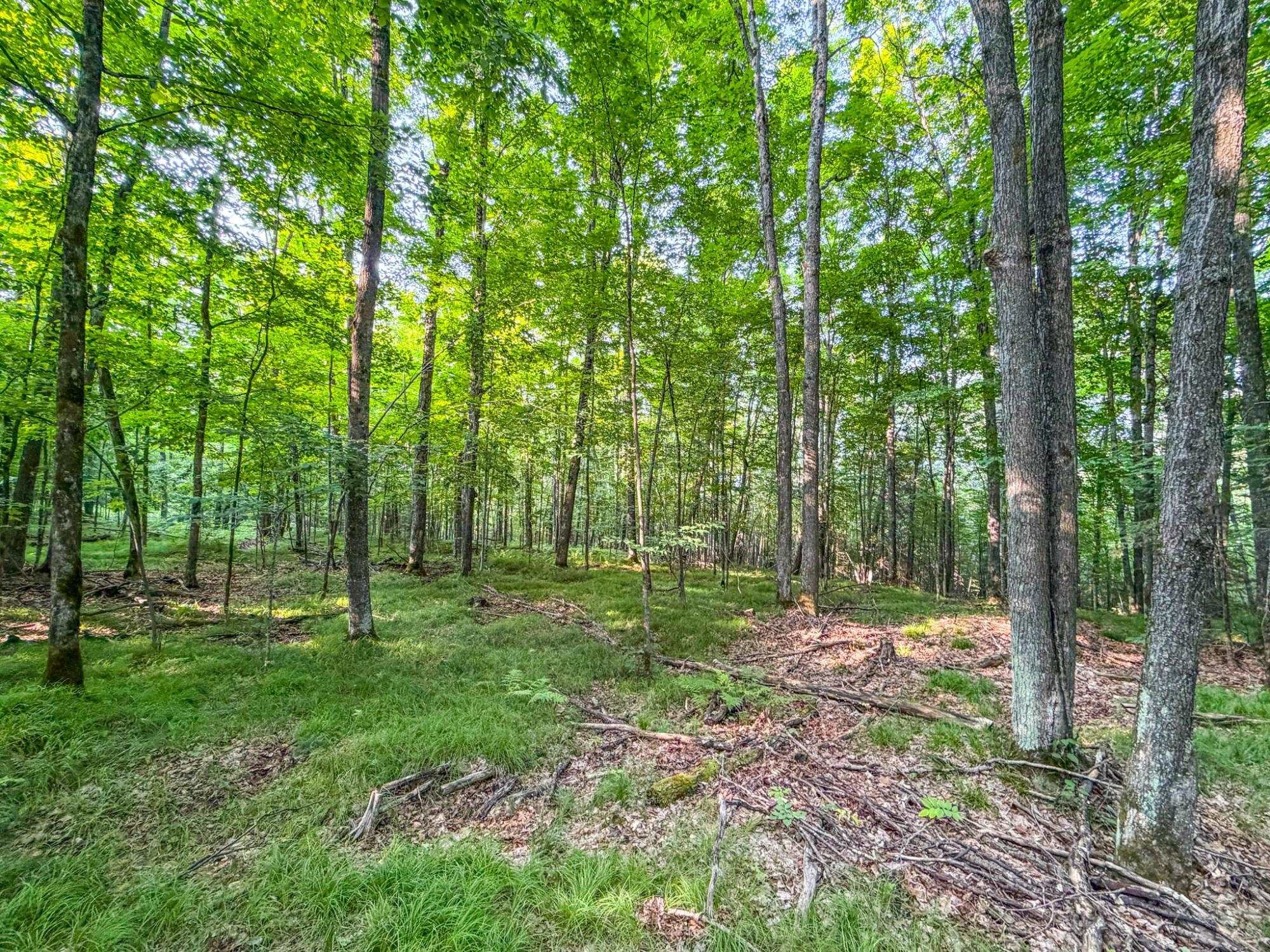 N13266 Hicks Landing Road Property Photo 56