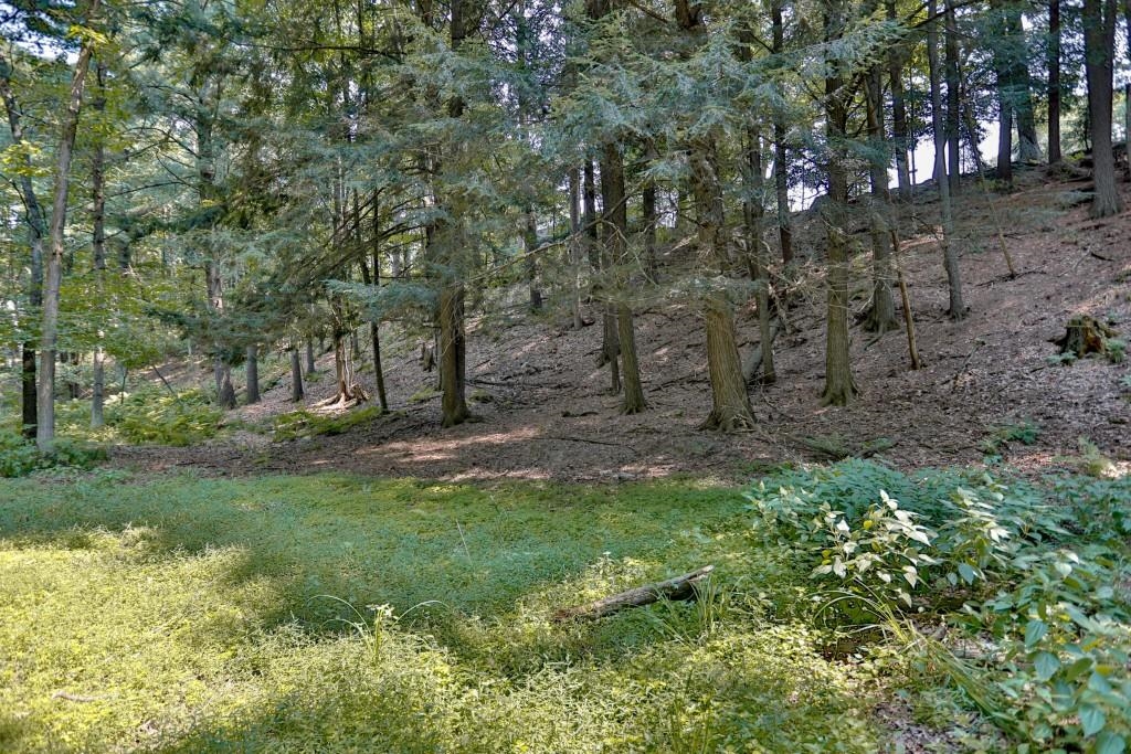3303 Mallard Court Property Photo 54