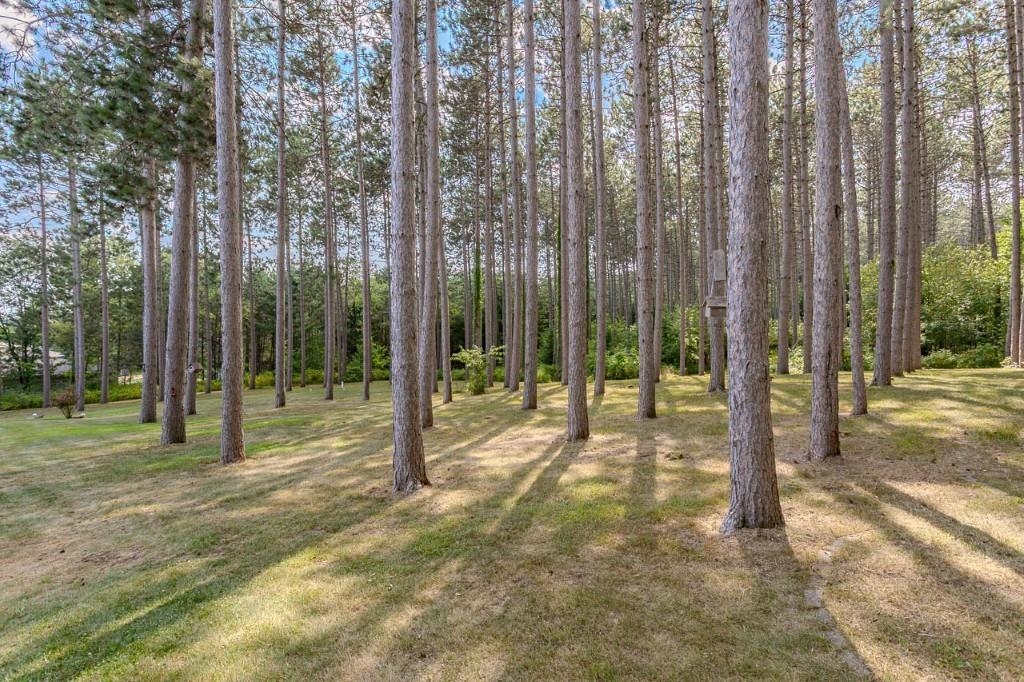 145209 Bristers Hill Road Property Photo 55