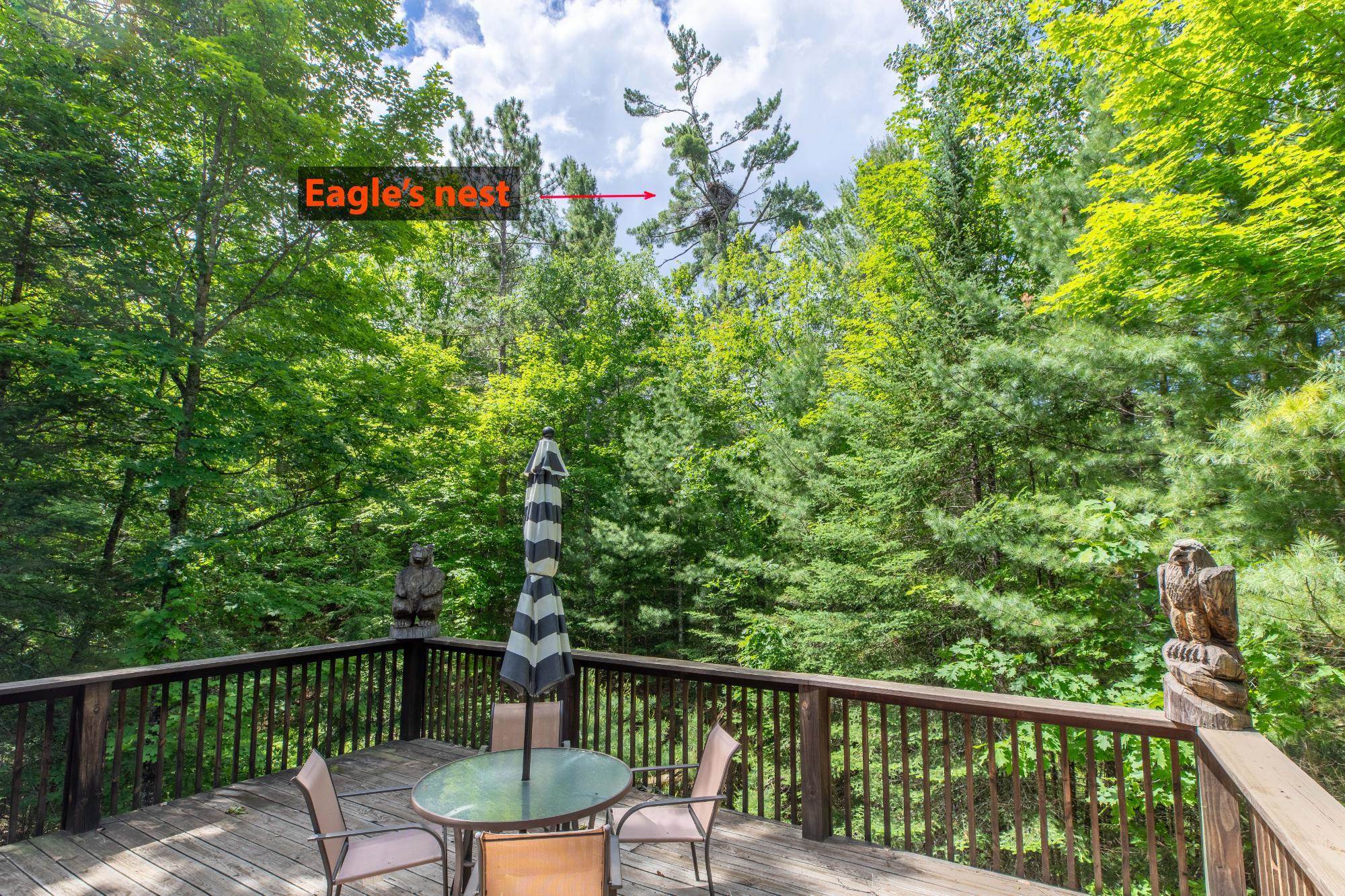 8790 Eagles Way Property Photo 3