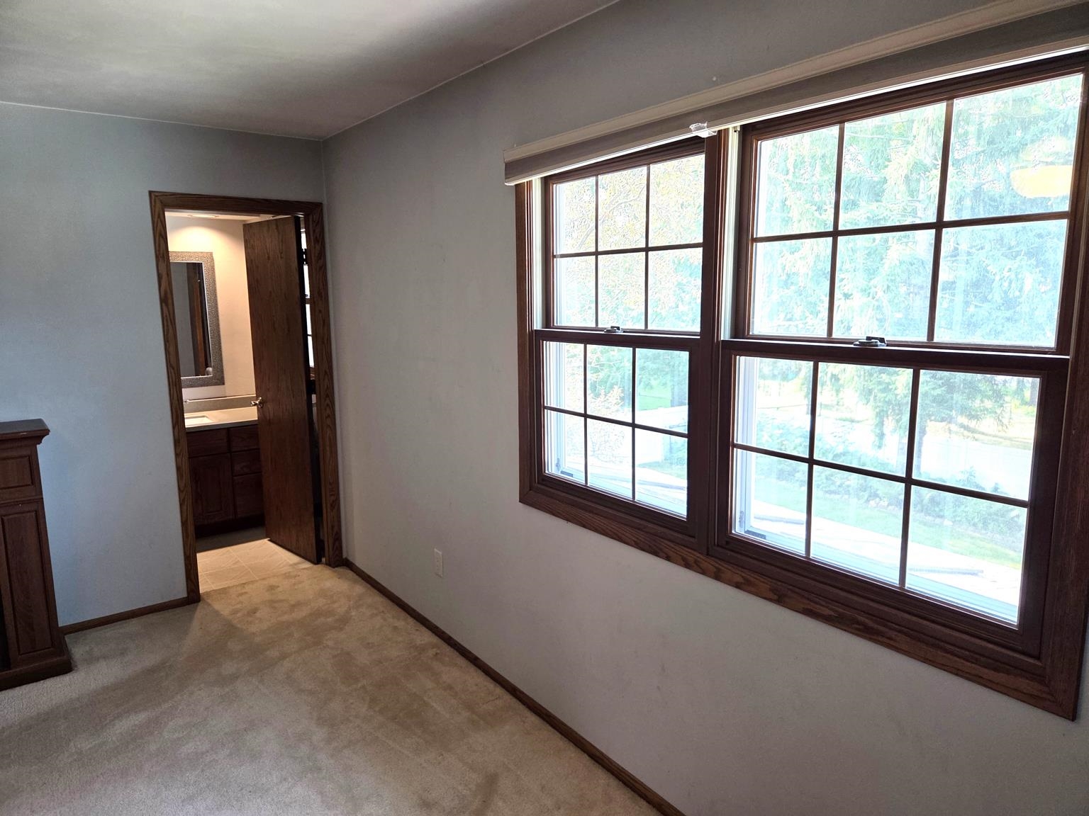 1020 W Blodgett Street Property Photo 32