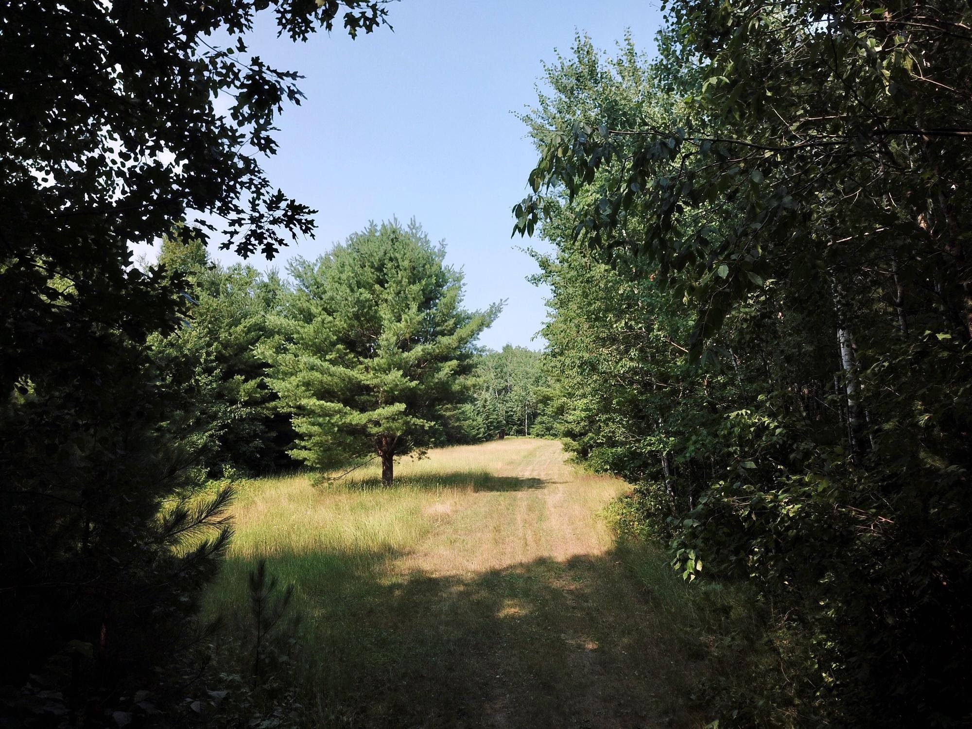 On Oak Ridge Road Property Photo 1