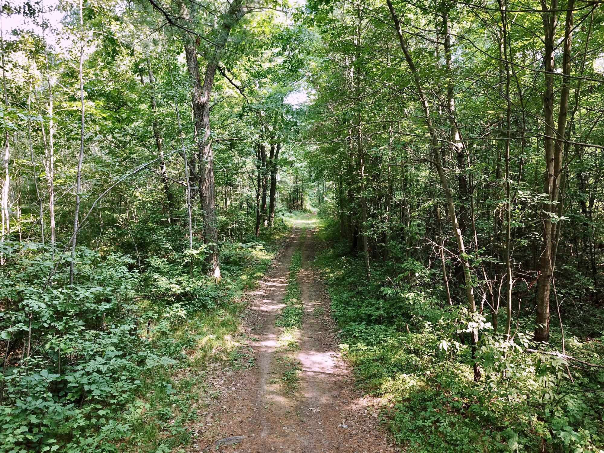 On Oak Ridge Road Property Photo 30