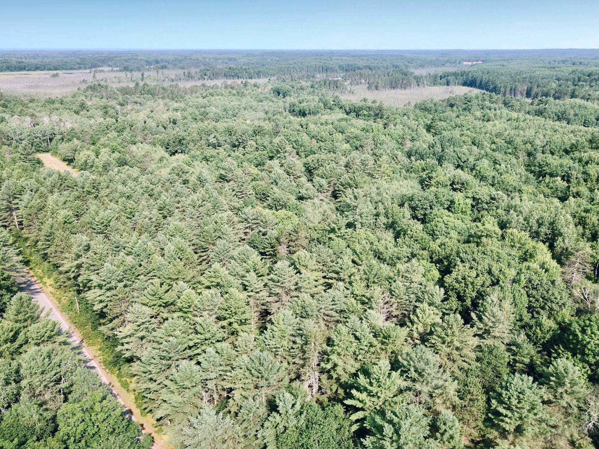 On Oak Ridge Road Property Photo 31