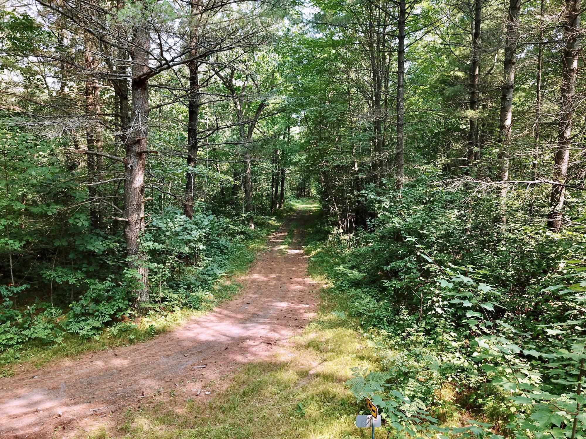 On Oak Ridge Road Property Photo 34