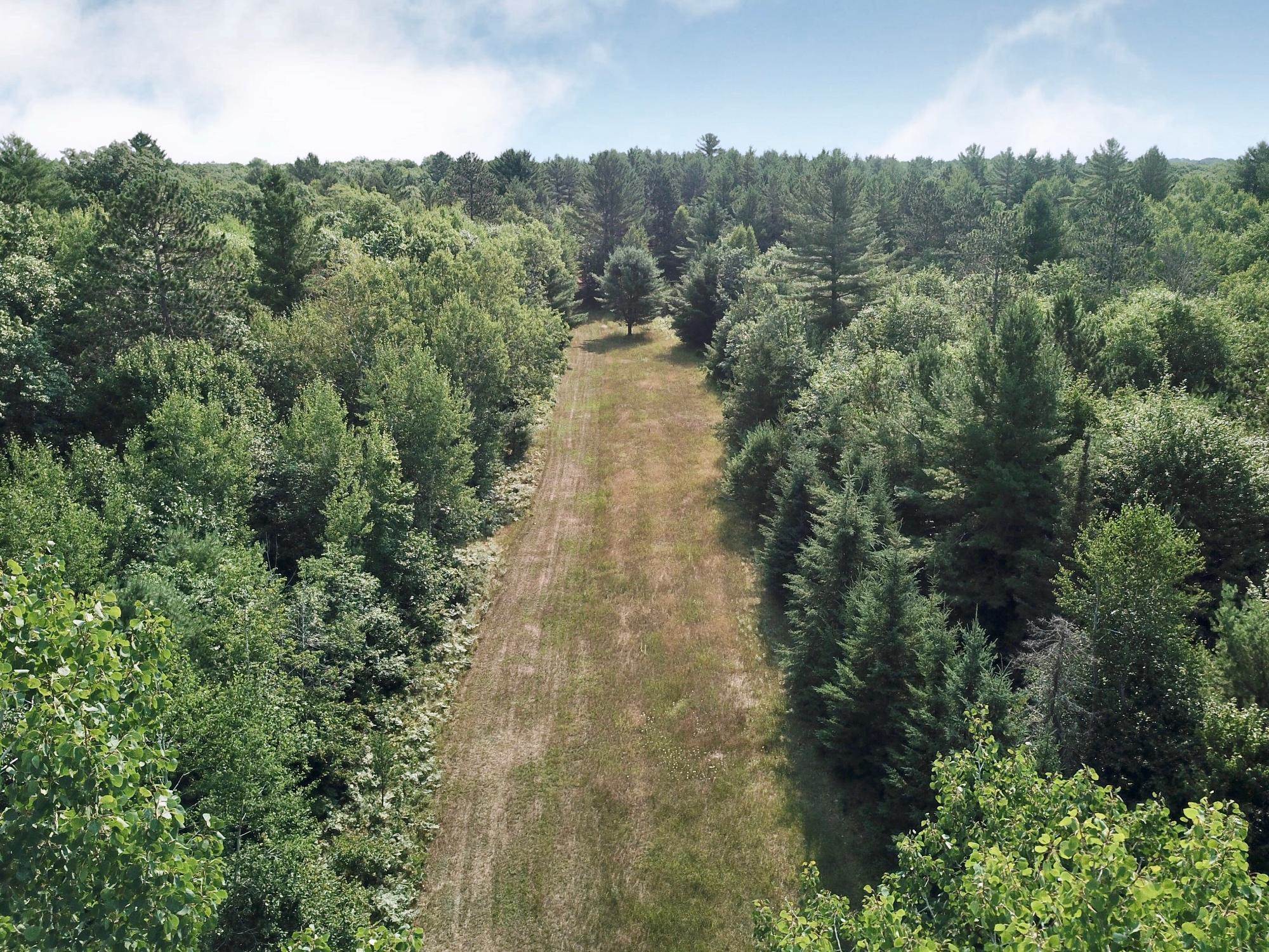 On Oak Ridge Road Property Photo 35