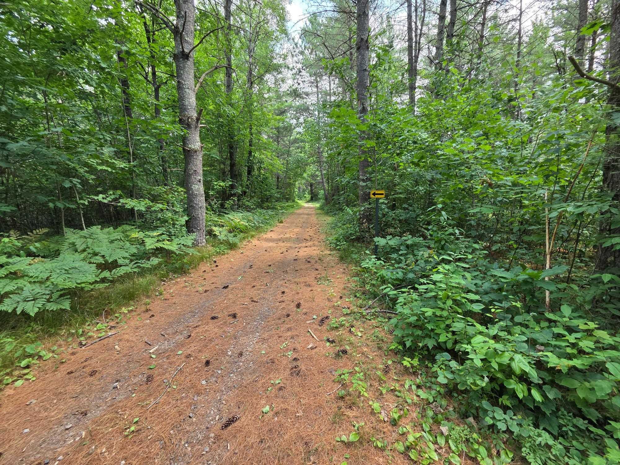 On Oak Ridge Road Property Photo 38