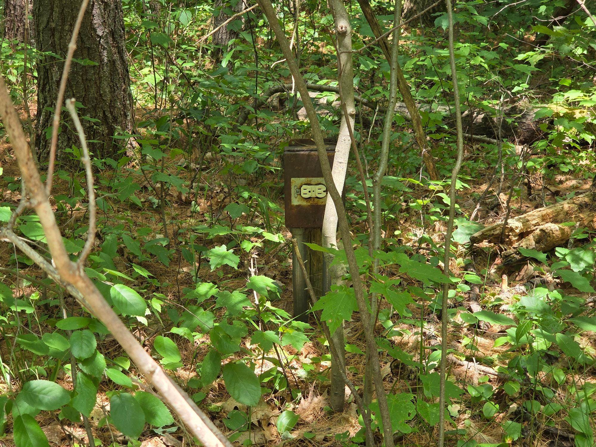 On Oak Ridge Road Property Photo 41