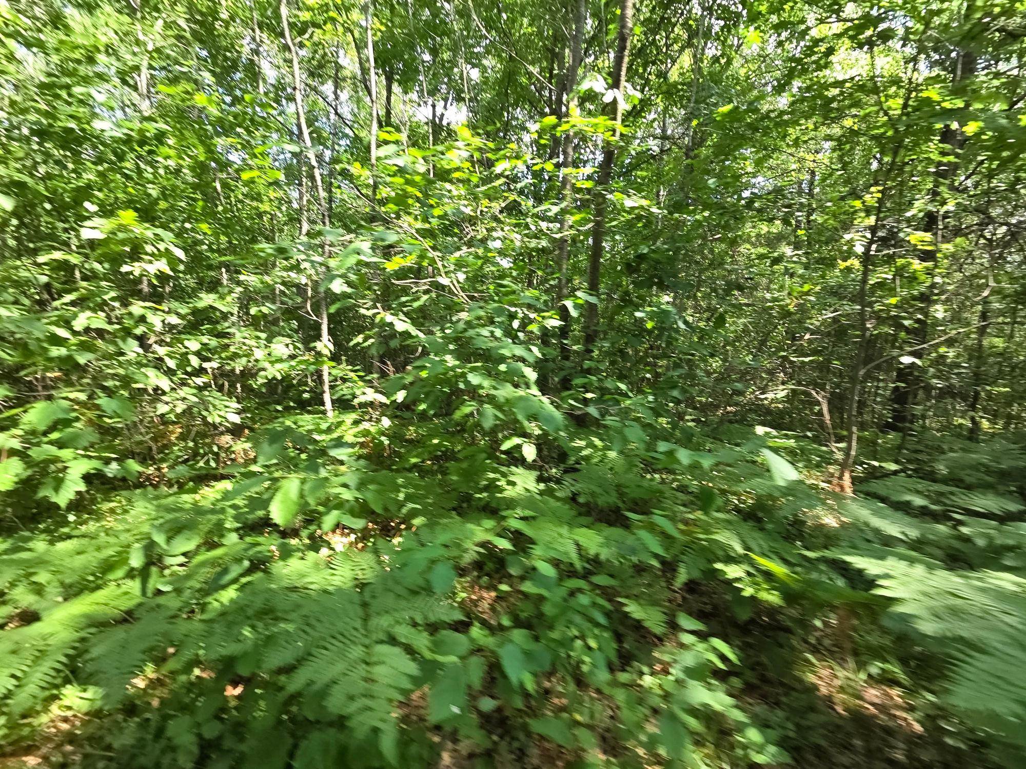 On Oak Ridge Road Property Photo 43