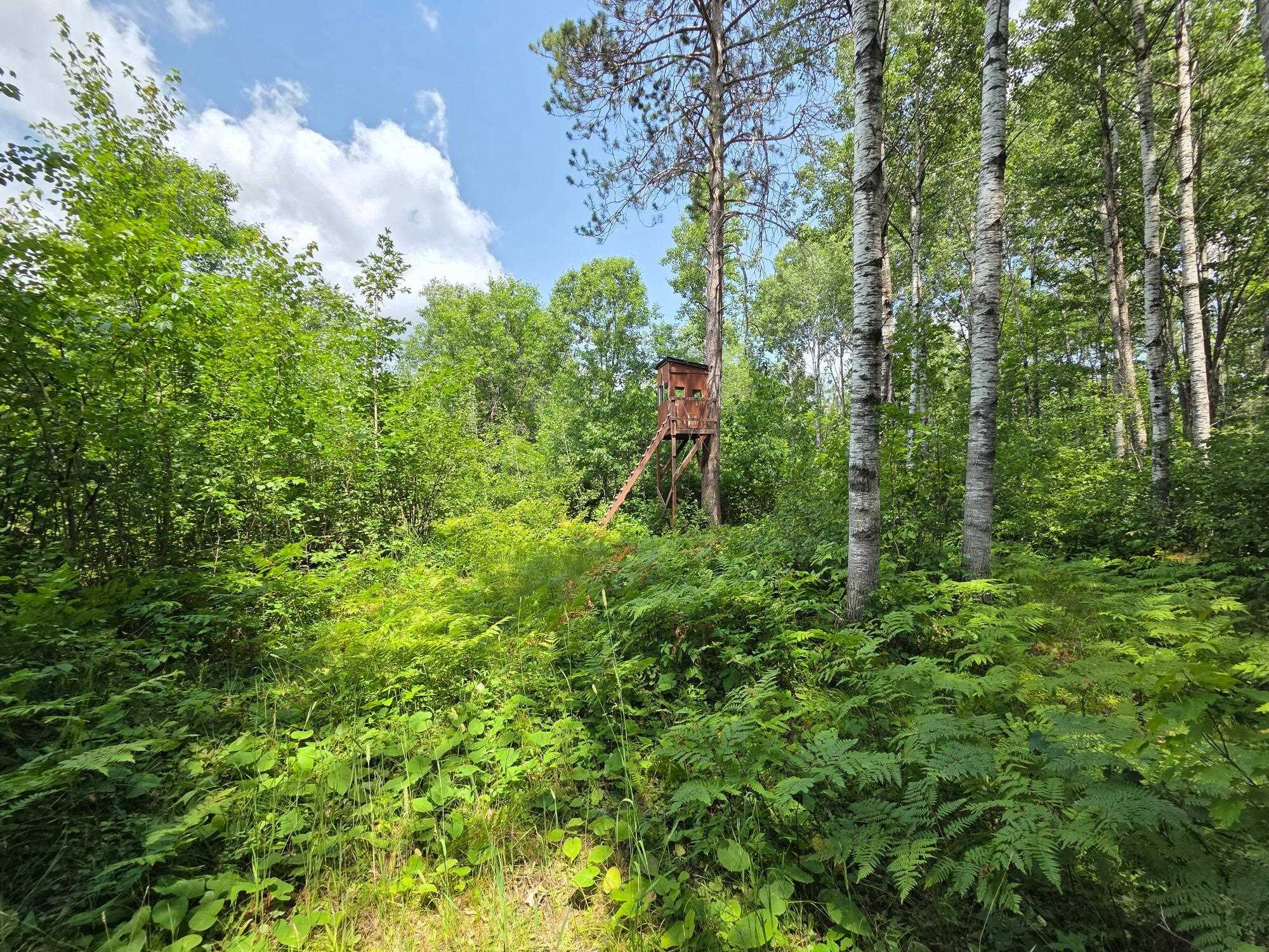 On Oak Ridge Road Property Photo 44