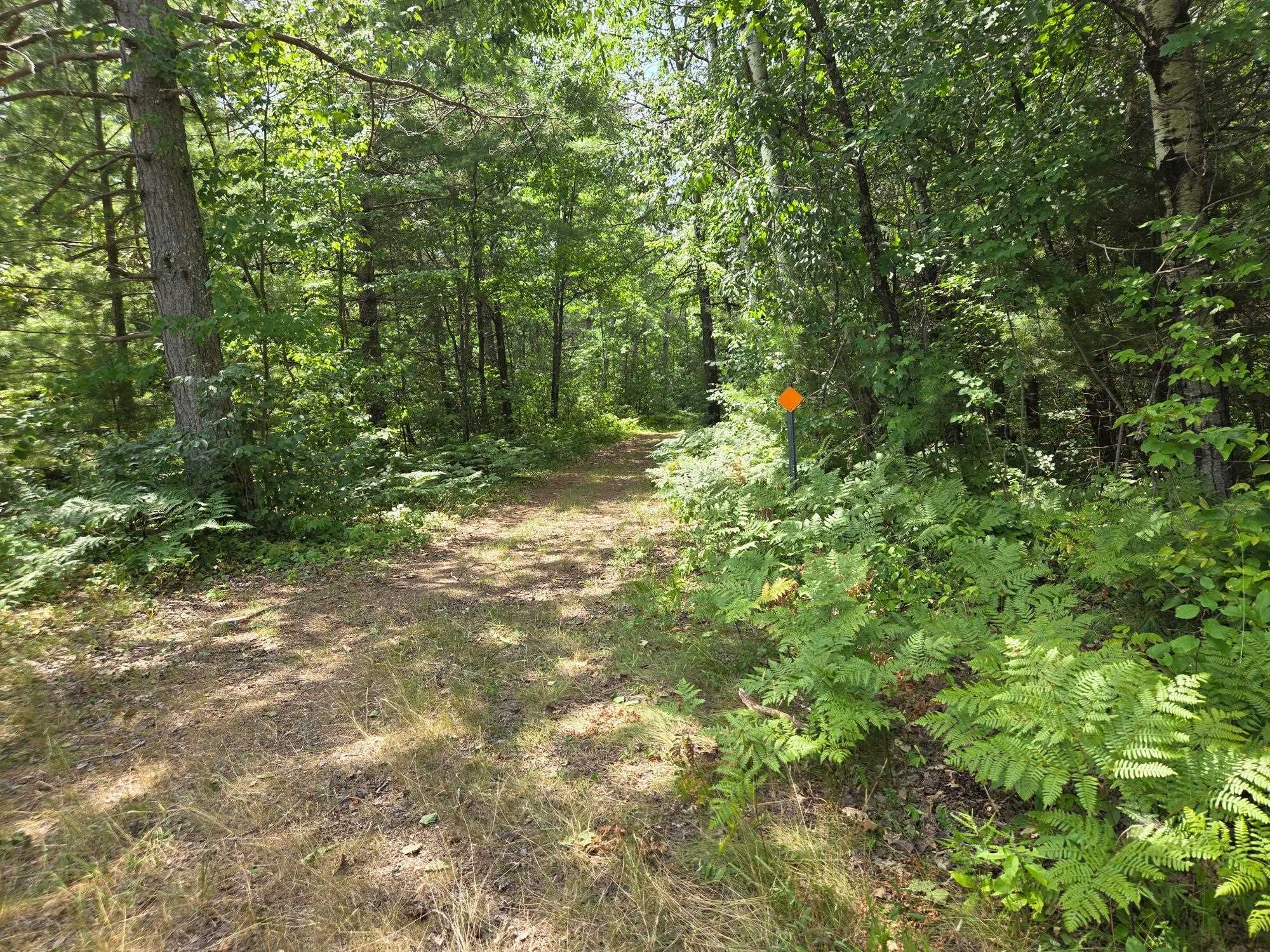 On Oak Ridge Road Property Photo 45
