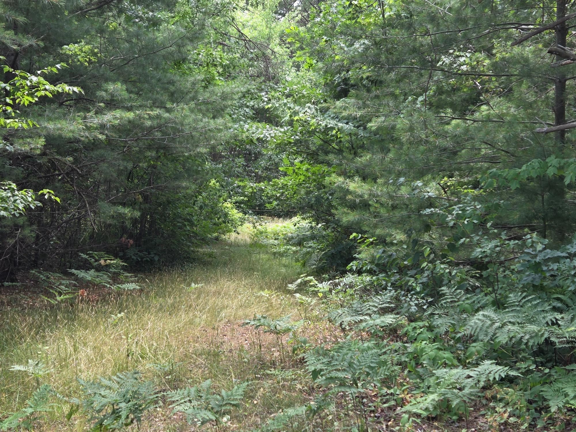 On Oak Ridge Road Property Photo 46