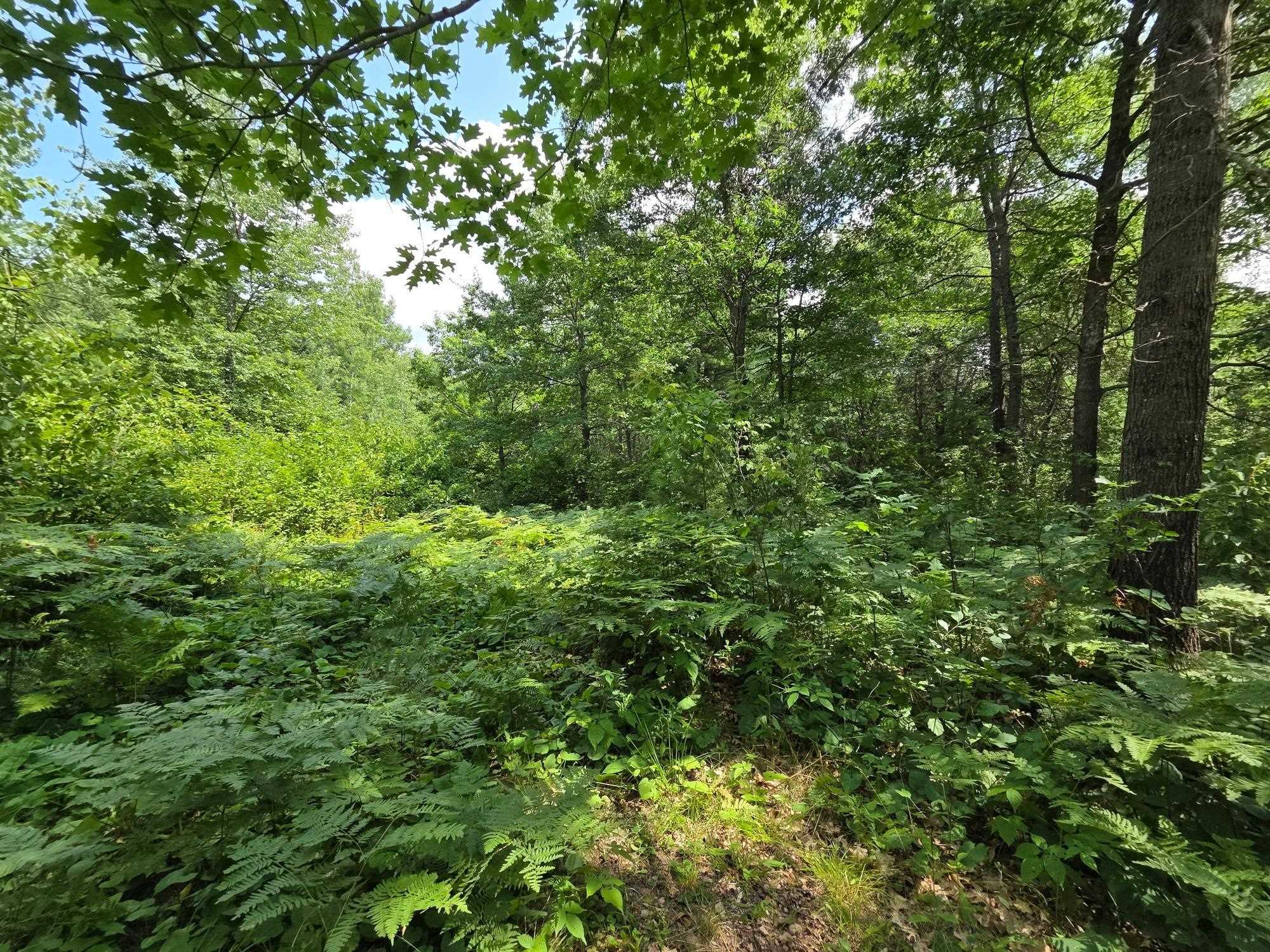 On Oak Ridge Road Property Photo 47