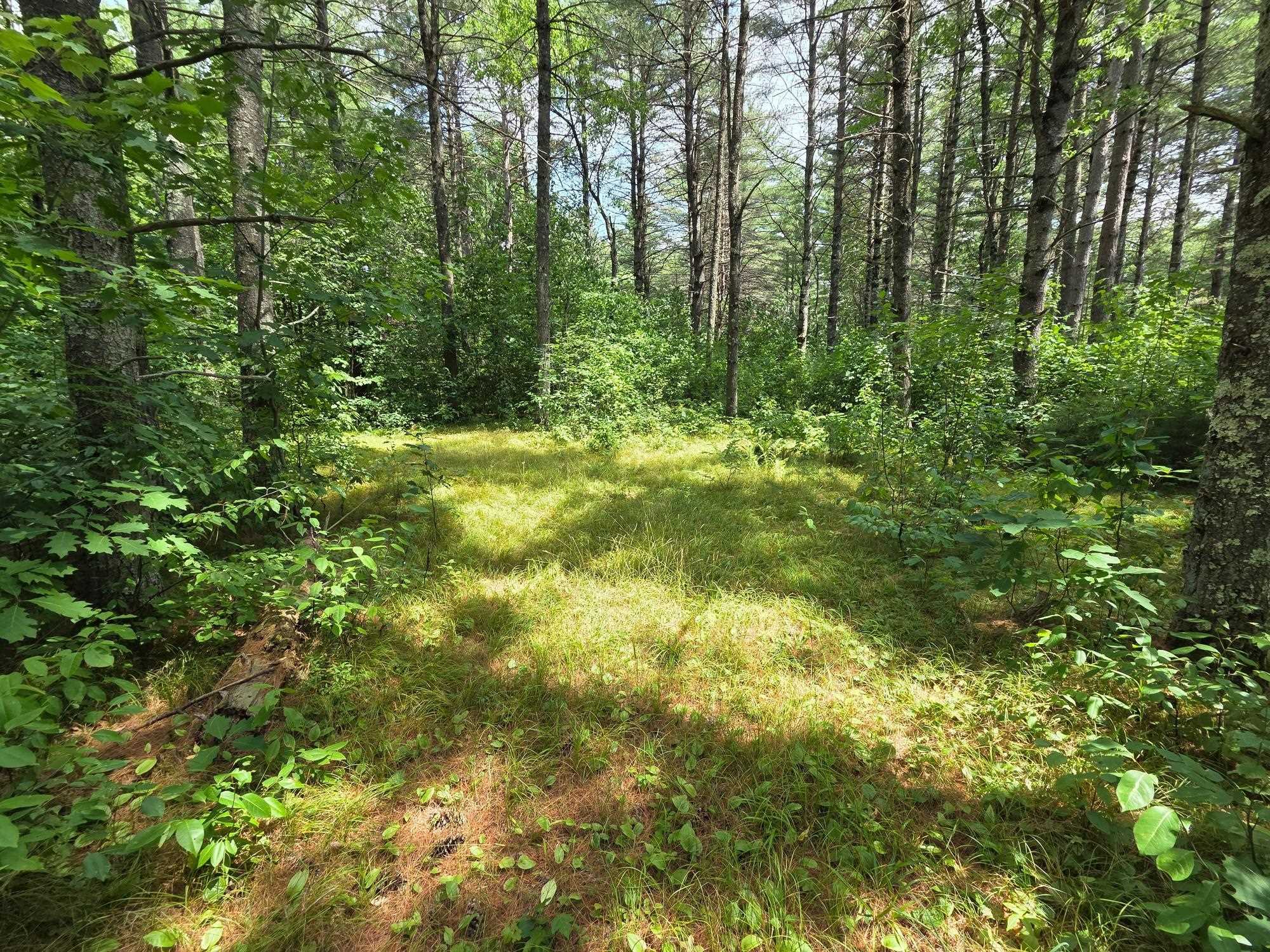 On Oak Ridge Road Property Photo 48