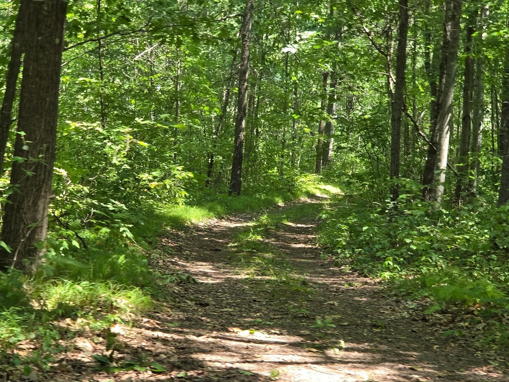 On Oak Ridge Road Property Photo 50