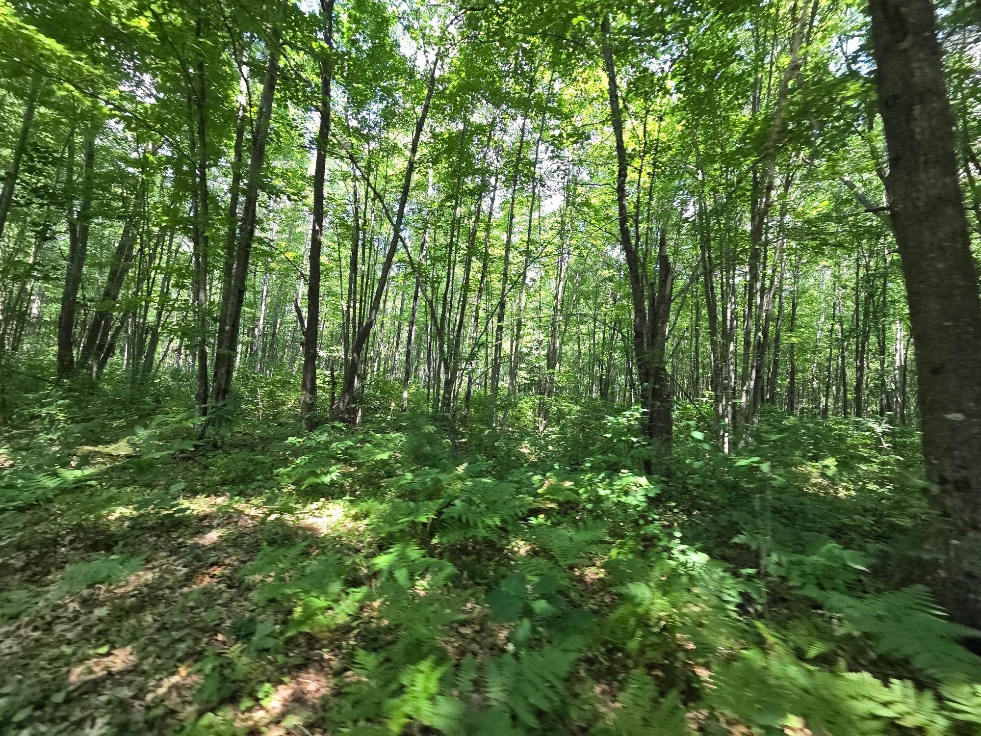 On Oak Ridge Road Property Photo 52