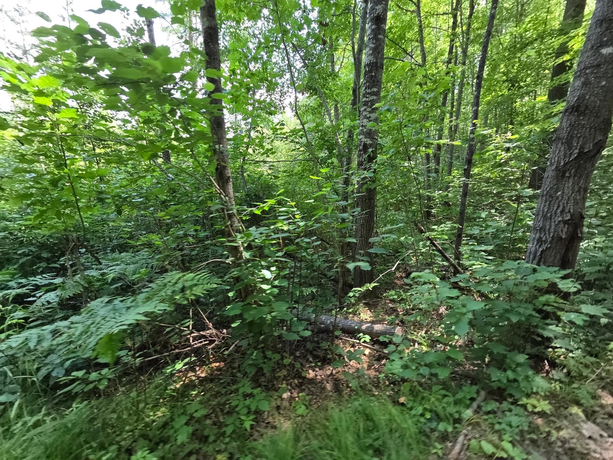 On Oak Ridge Road Property Photo 56