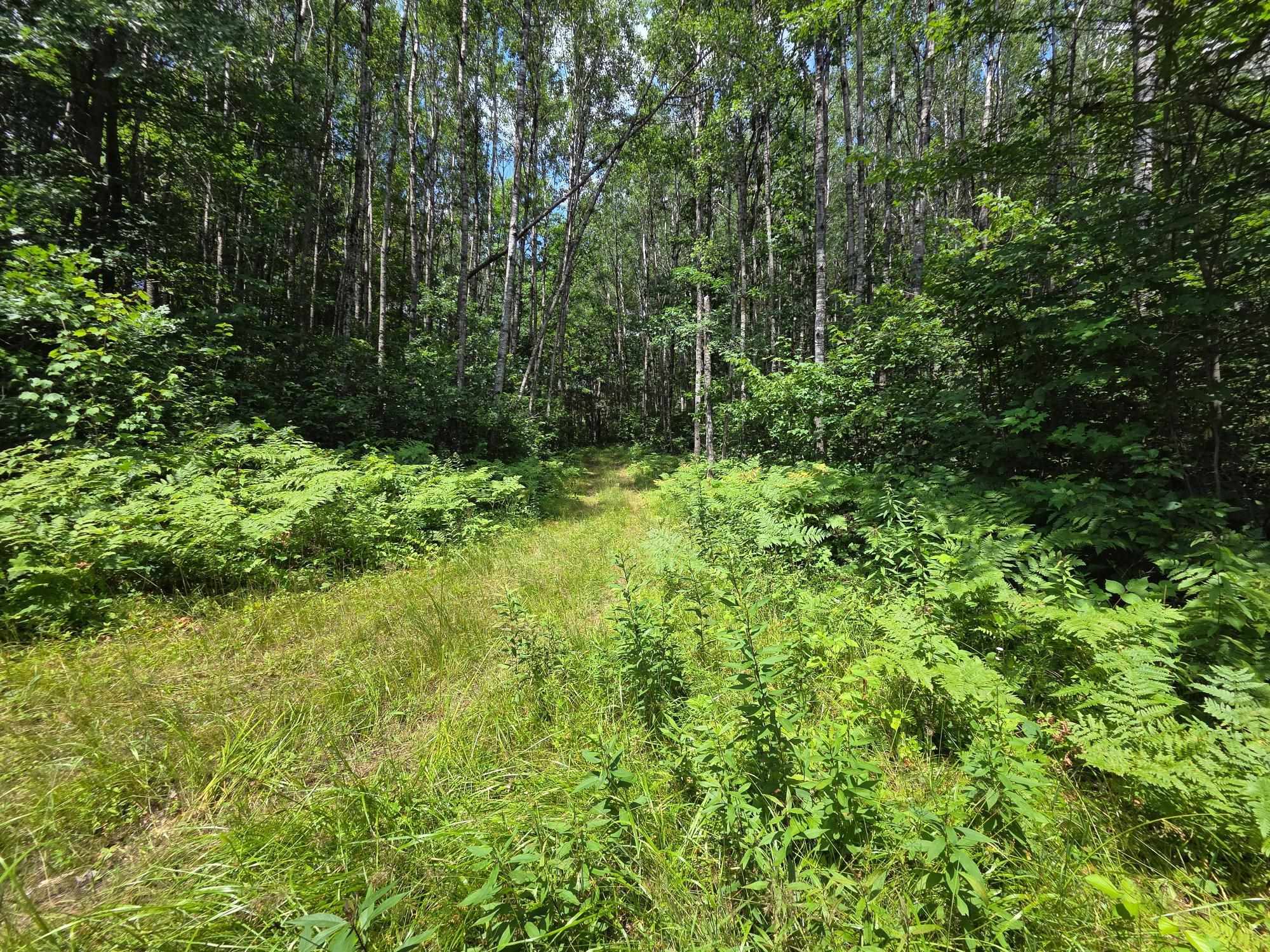 On Oak Ridge Road Property Photo 59