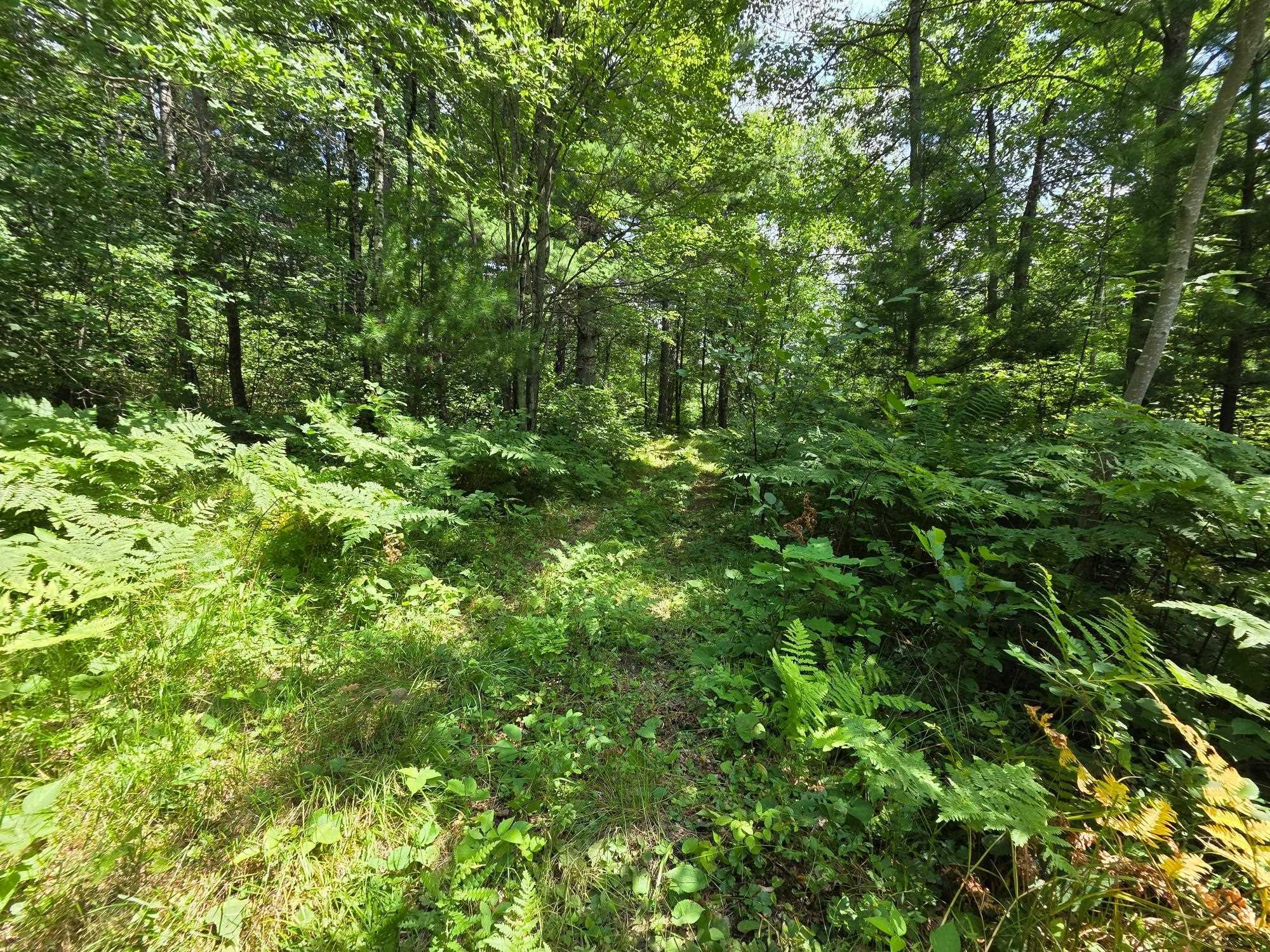 On Oak Ridge Road Property Photo 60