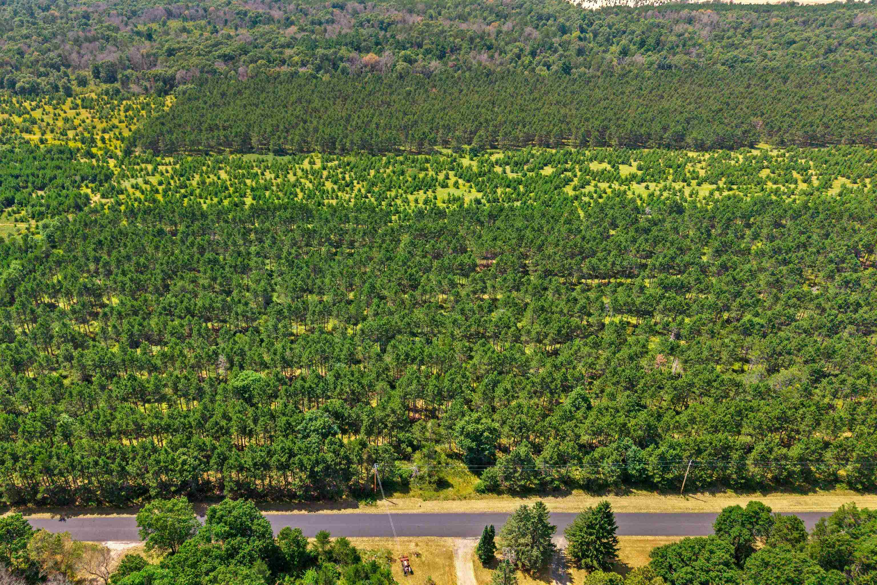 10 Acres Bell Road Property Photo 4