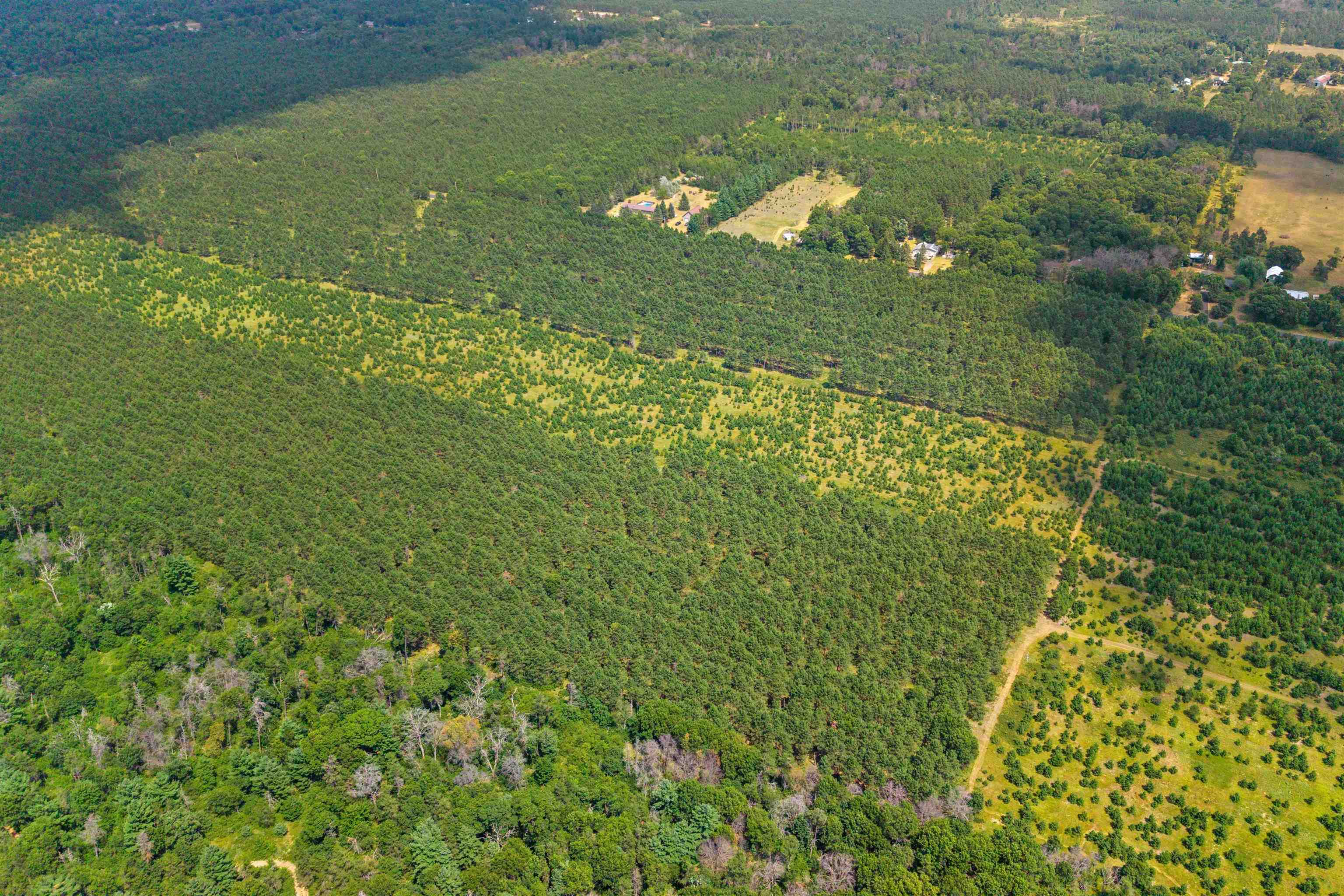 10 Acres Bell Road Property Photo 6