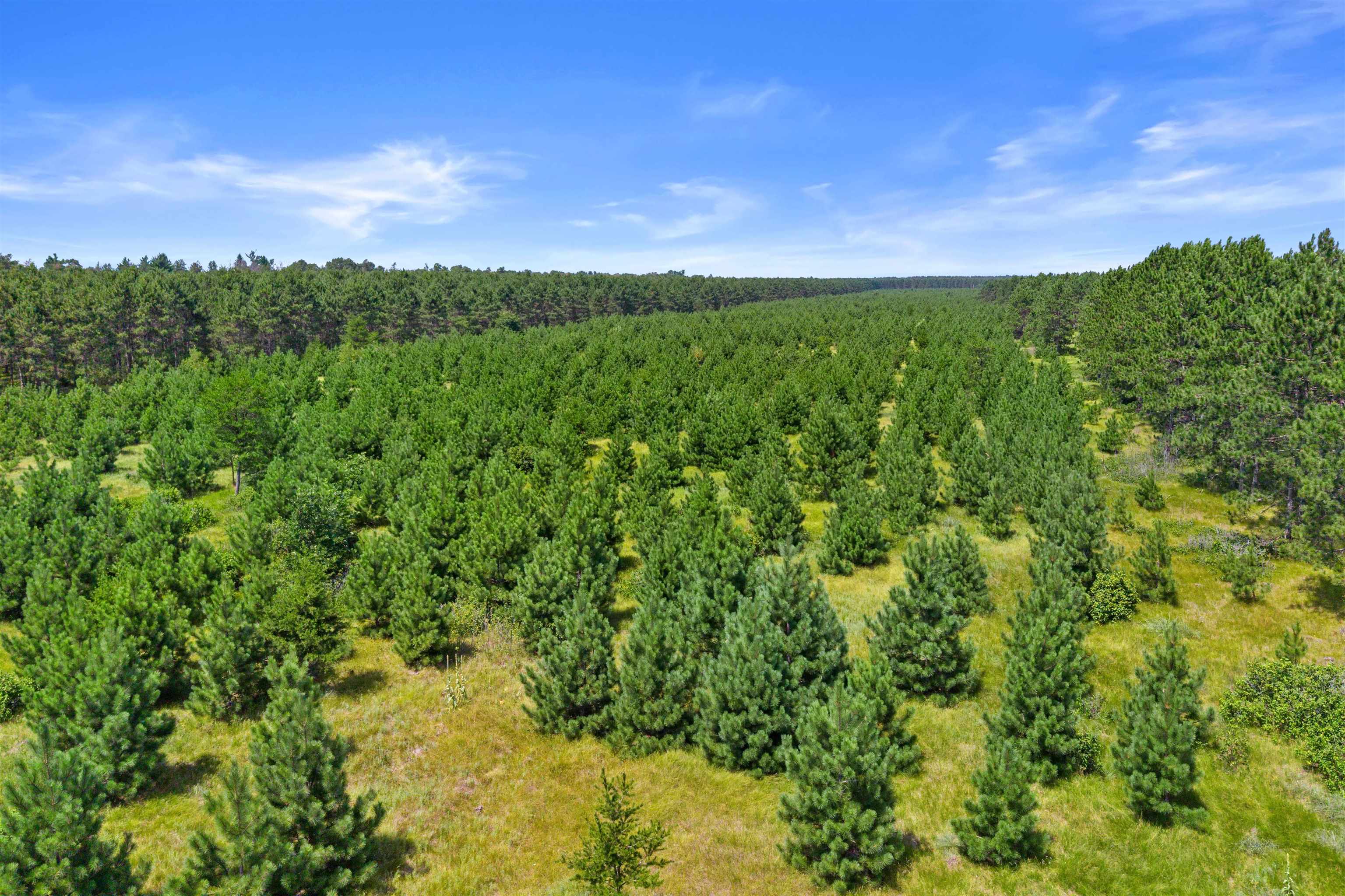 10 Acres Bell Road Property Photo 8