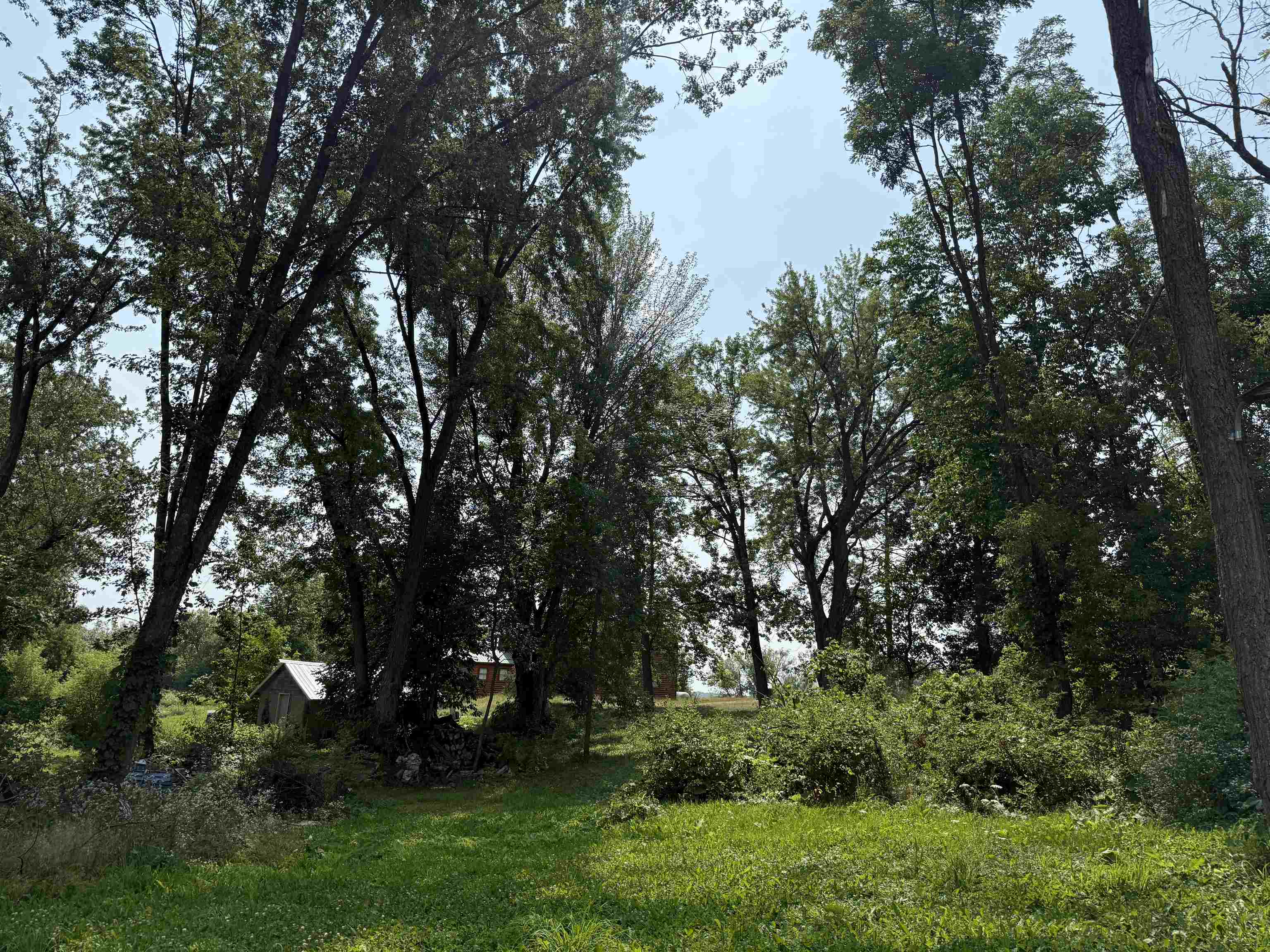 183247 Beeckman Street Property Photo 16
