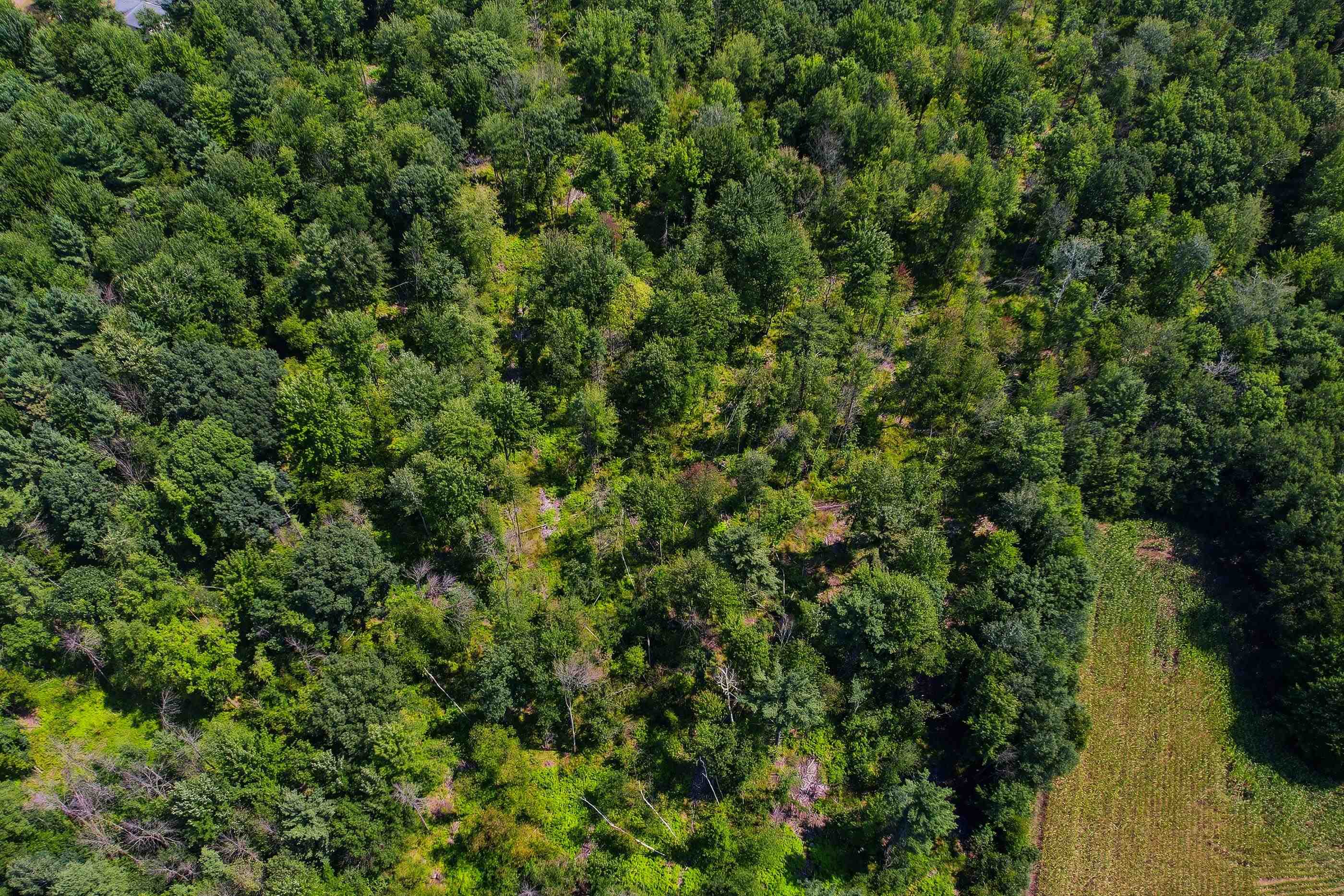 27.82 Acres Mol Sunset Drive Property Photo 12