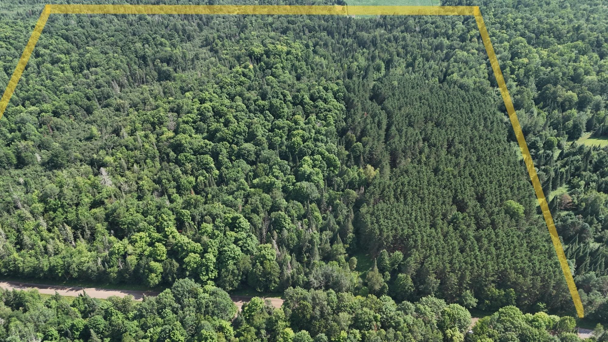 40 Ac Sunrise Road Property Photo 1