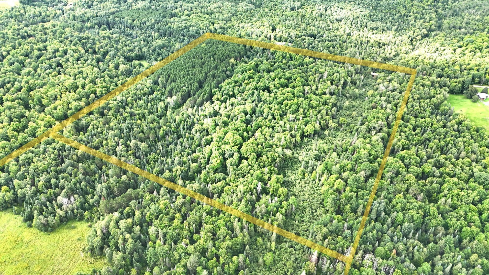 40 Ac Sunrise Road Property Photo 2
