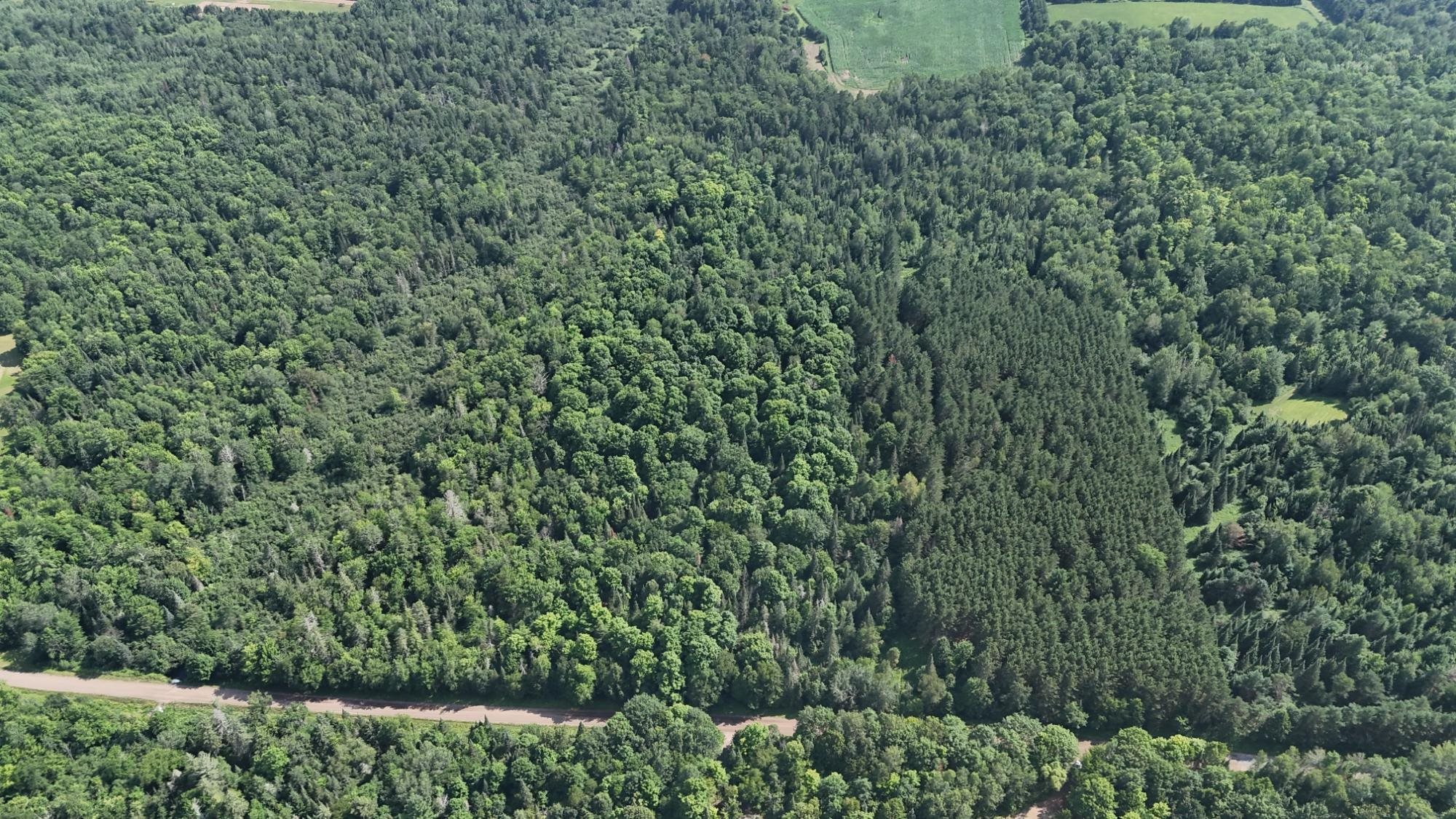 40 Ac Sunrise Road Property Photo 3