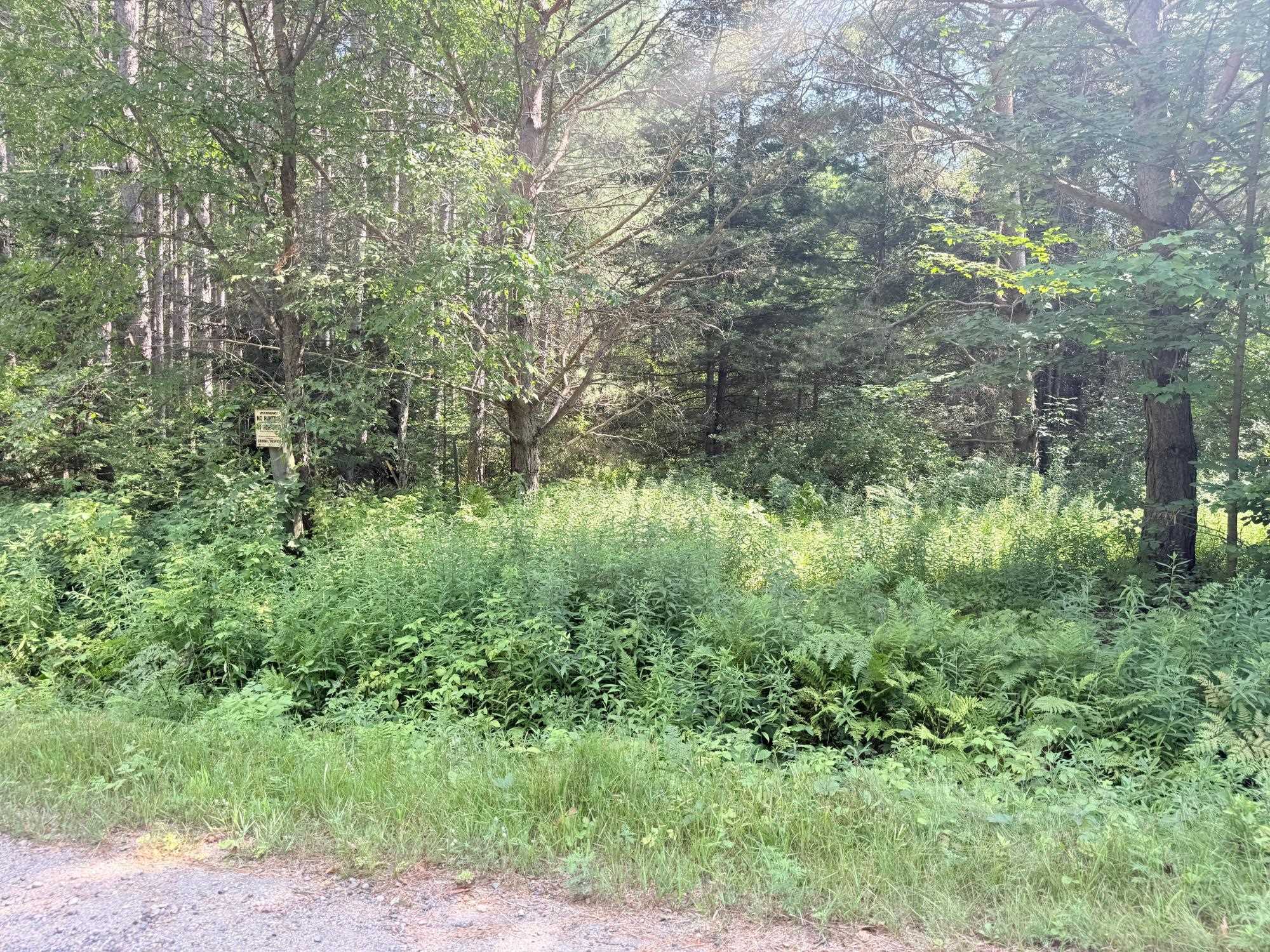 40 Ac Sunrise Road Property Photo 6